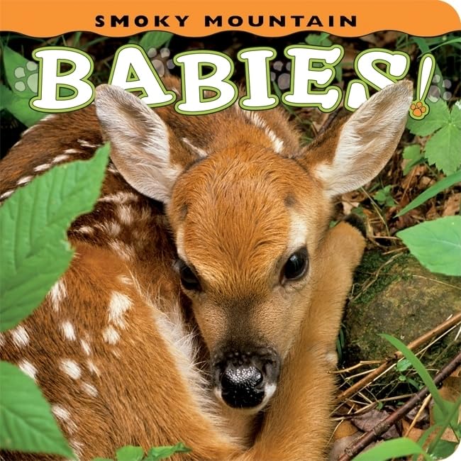Smoky Mountain Babies! (Babies! (Farcountry Press))