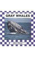 Gray Whales