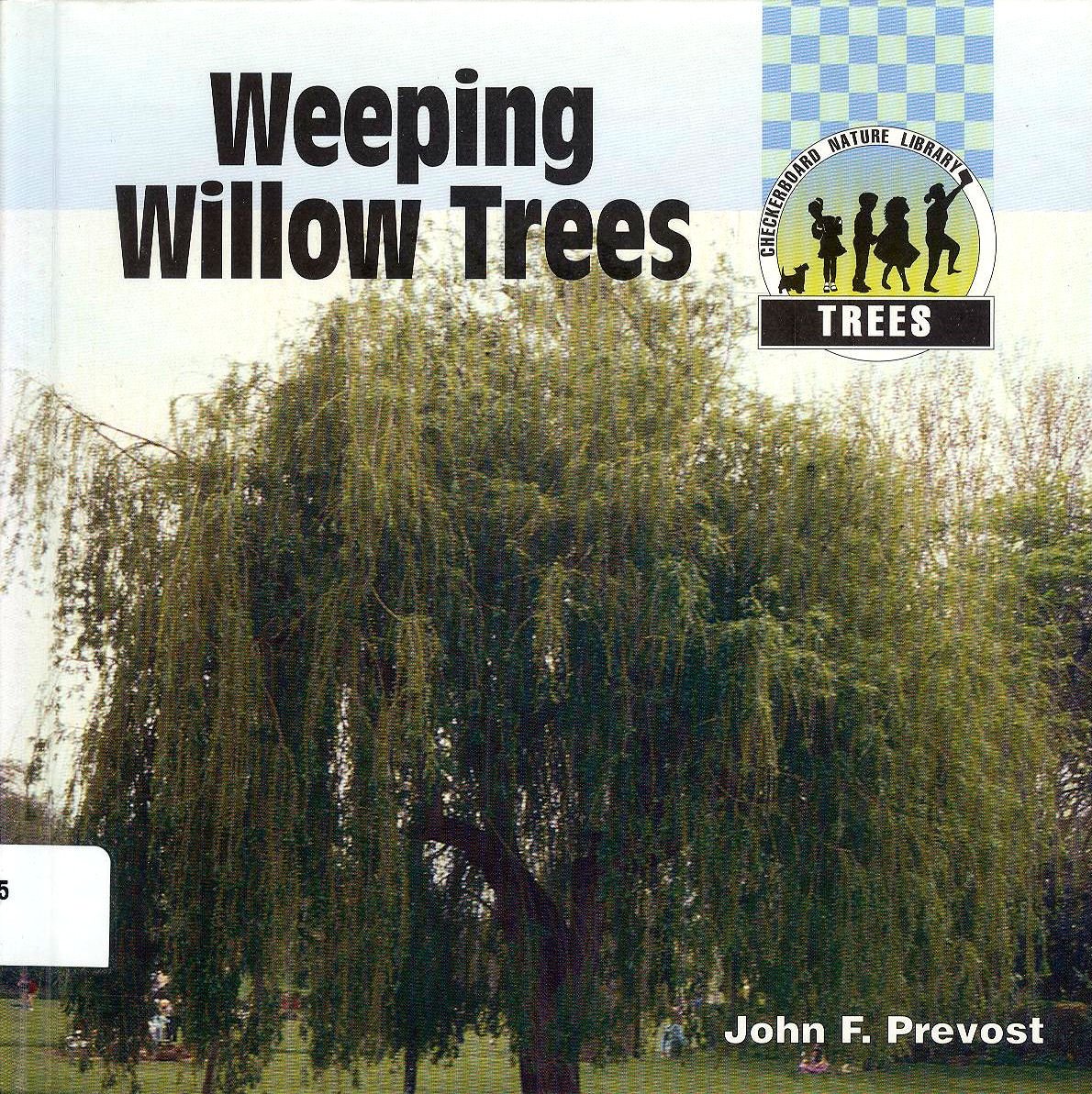 Weeping Willow Trees