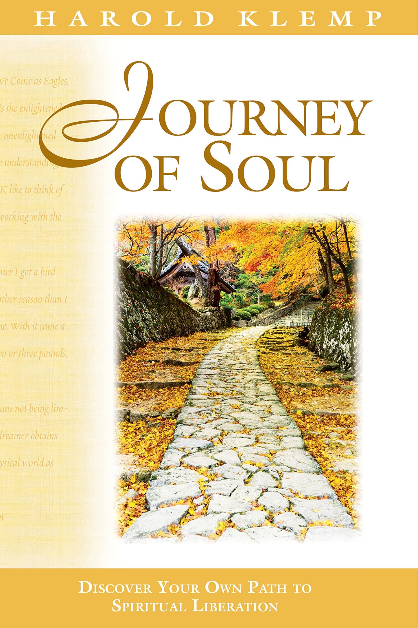 Journey of Soul (Mahanta Transcripts)