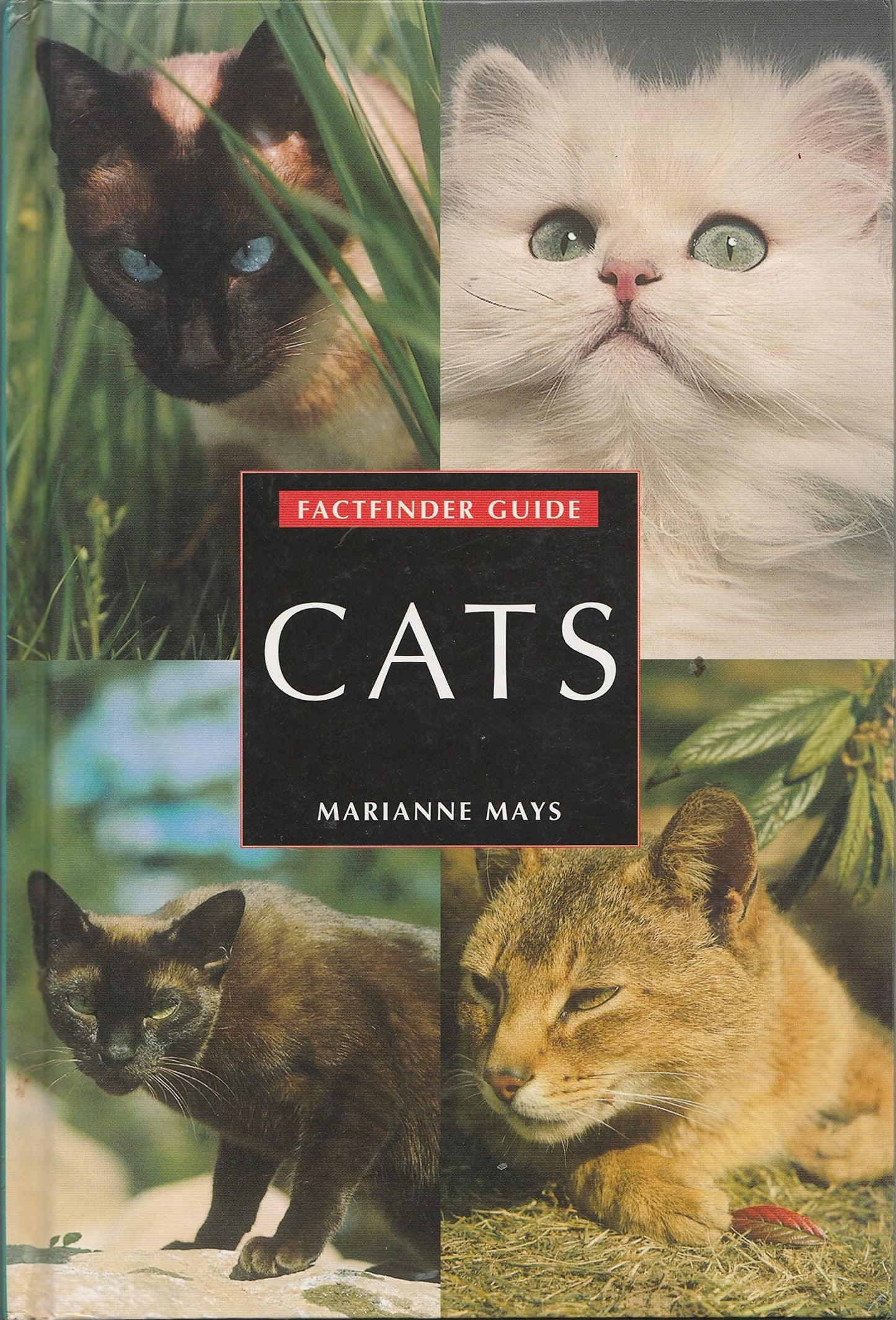 Factfinder Guide: Cats (Factfinder Guides)