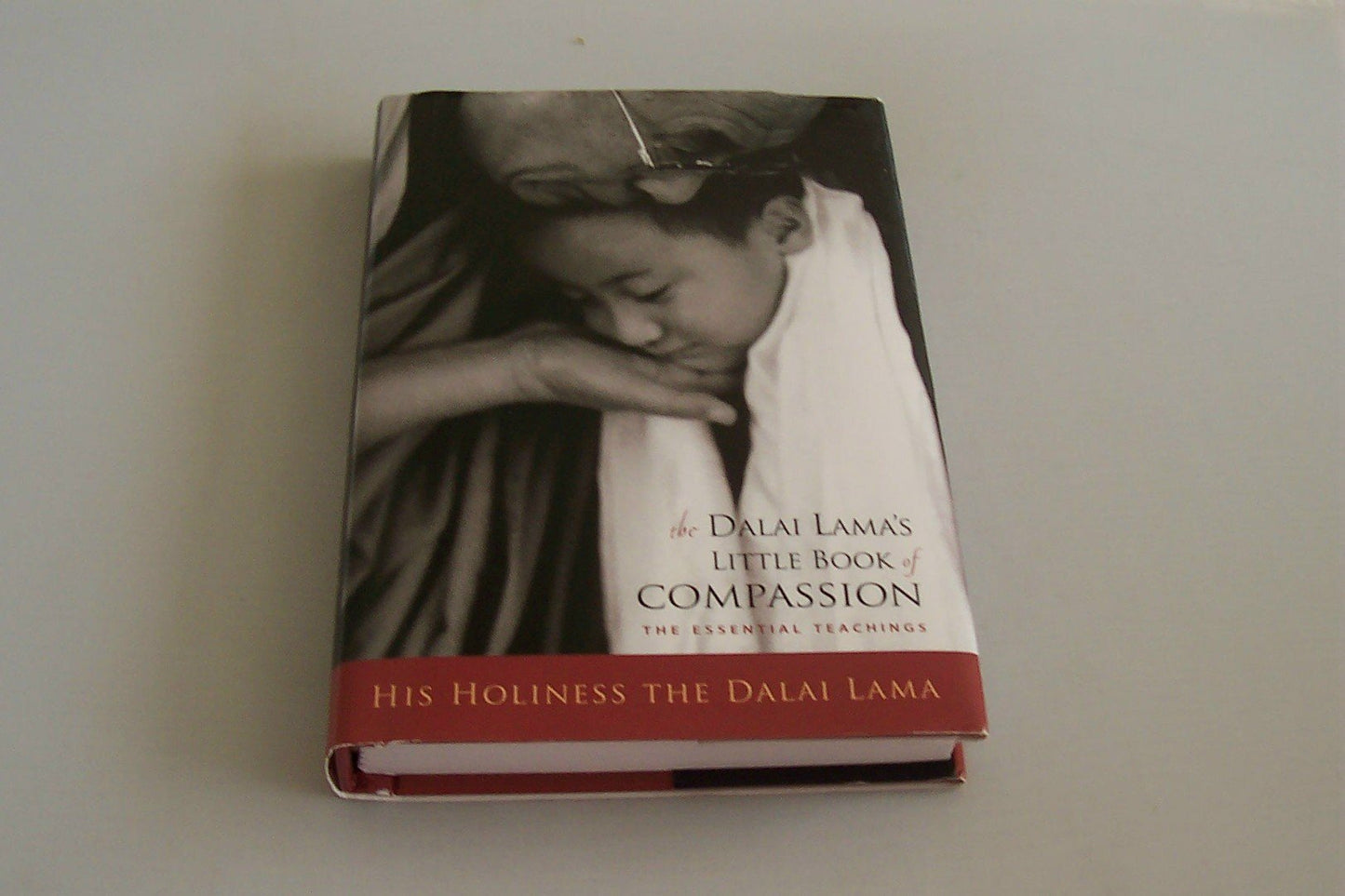 Dalai Lama's Little Book of Compassion