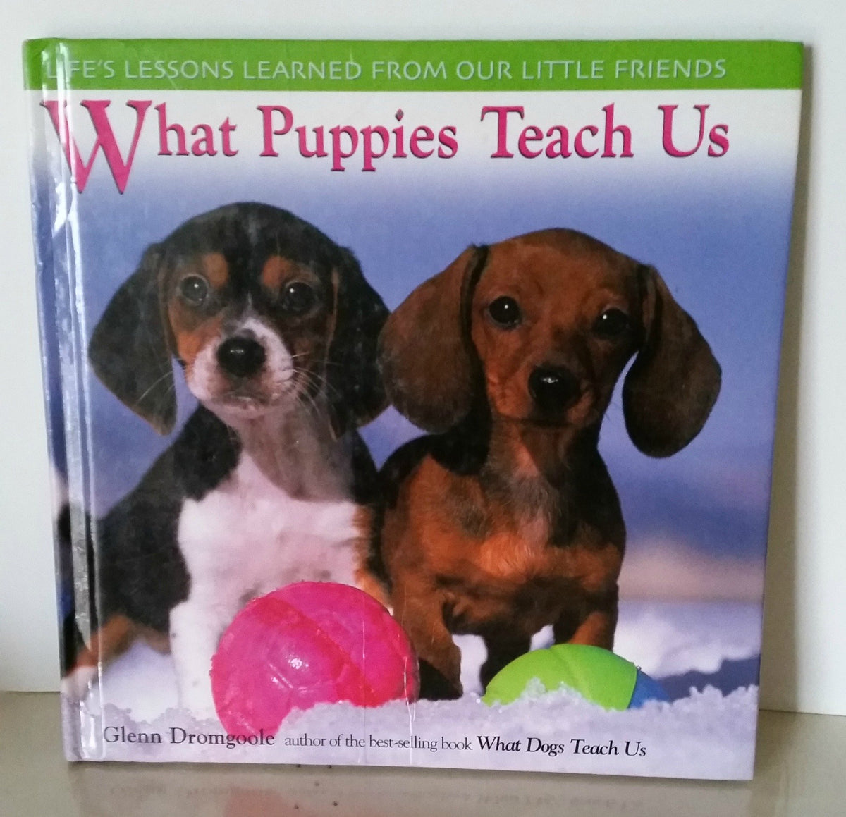 What Puppies Teach Us: Life's Lessons Learned from Our Little Friends