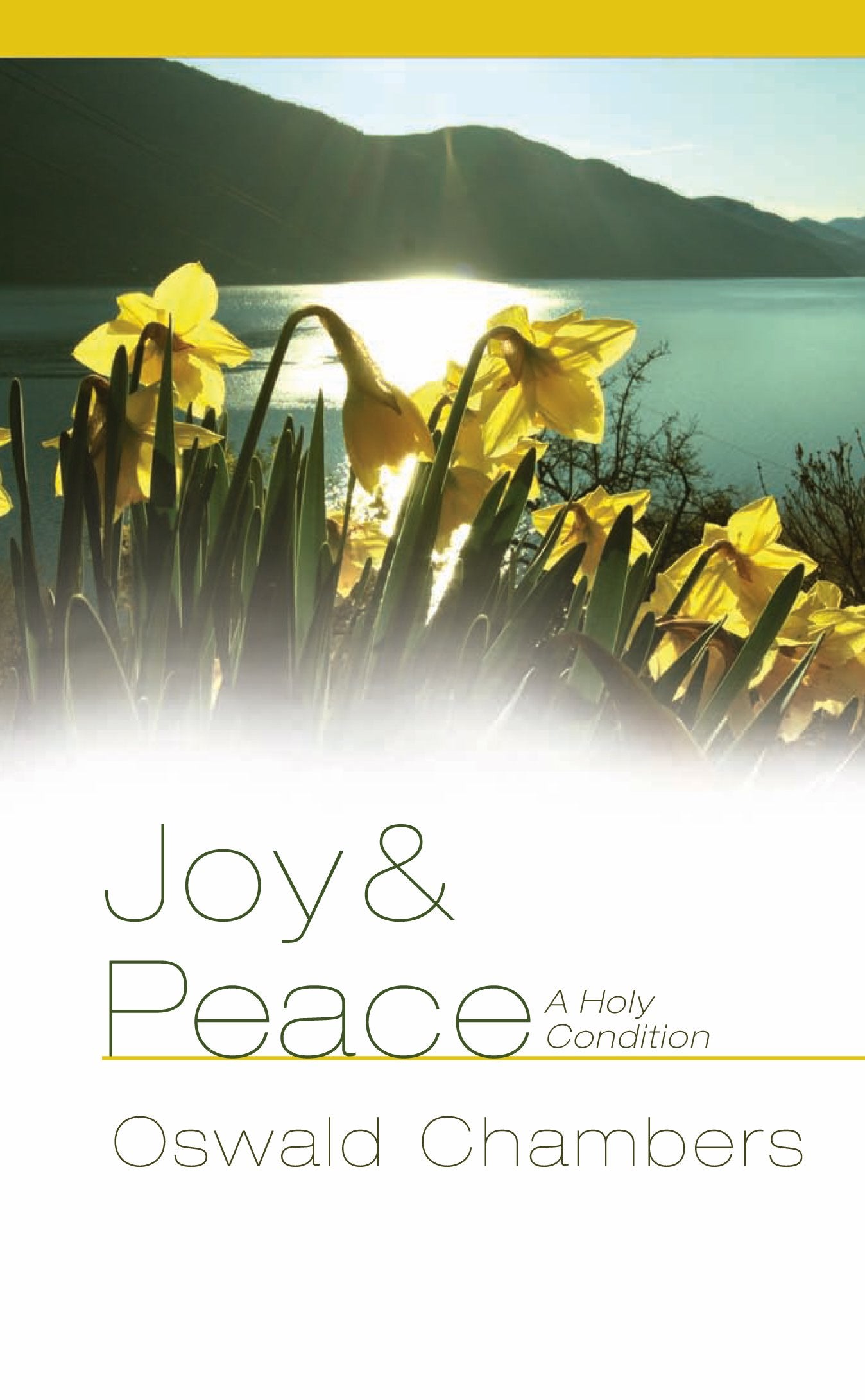 Joy and Peace: A Holy Condition