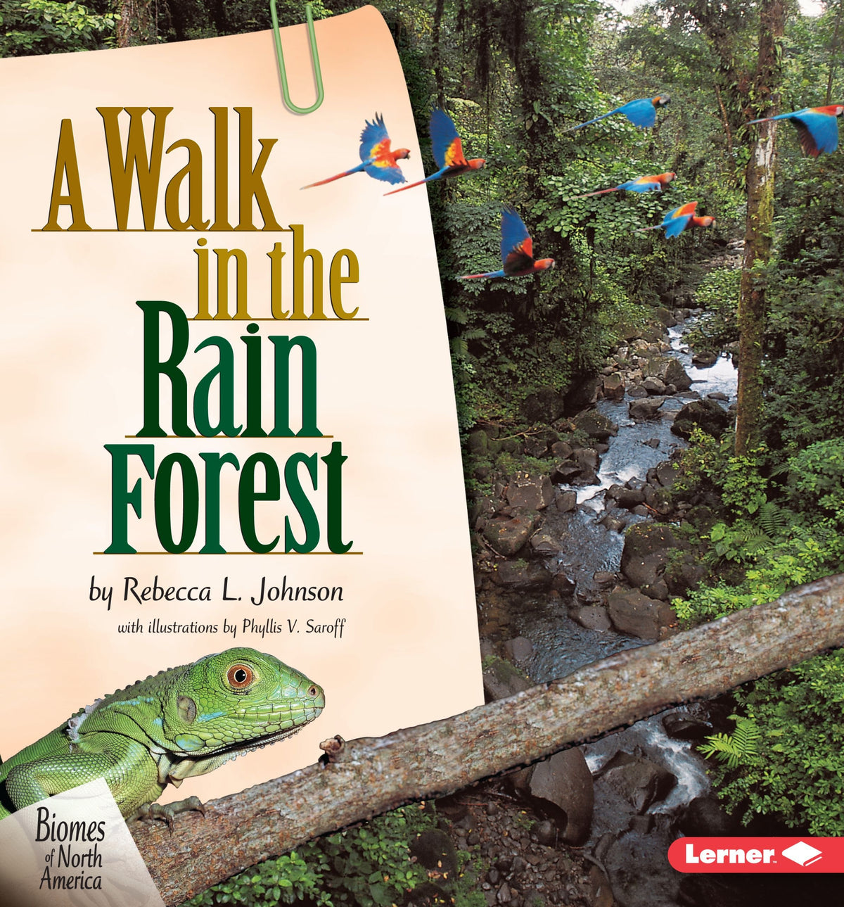 A Walk in the Rain Forest (Biomes of North America)