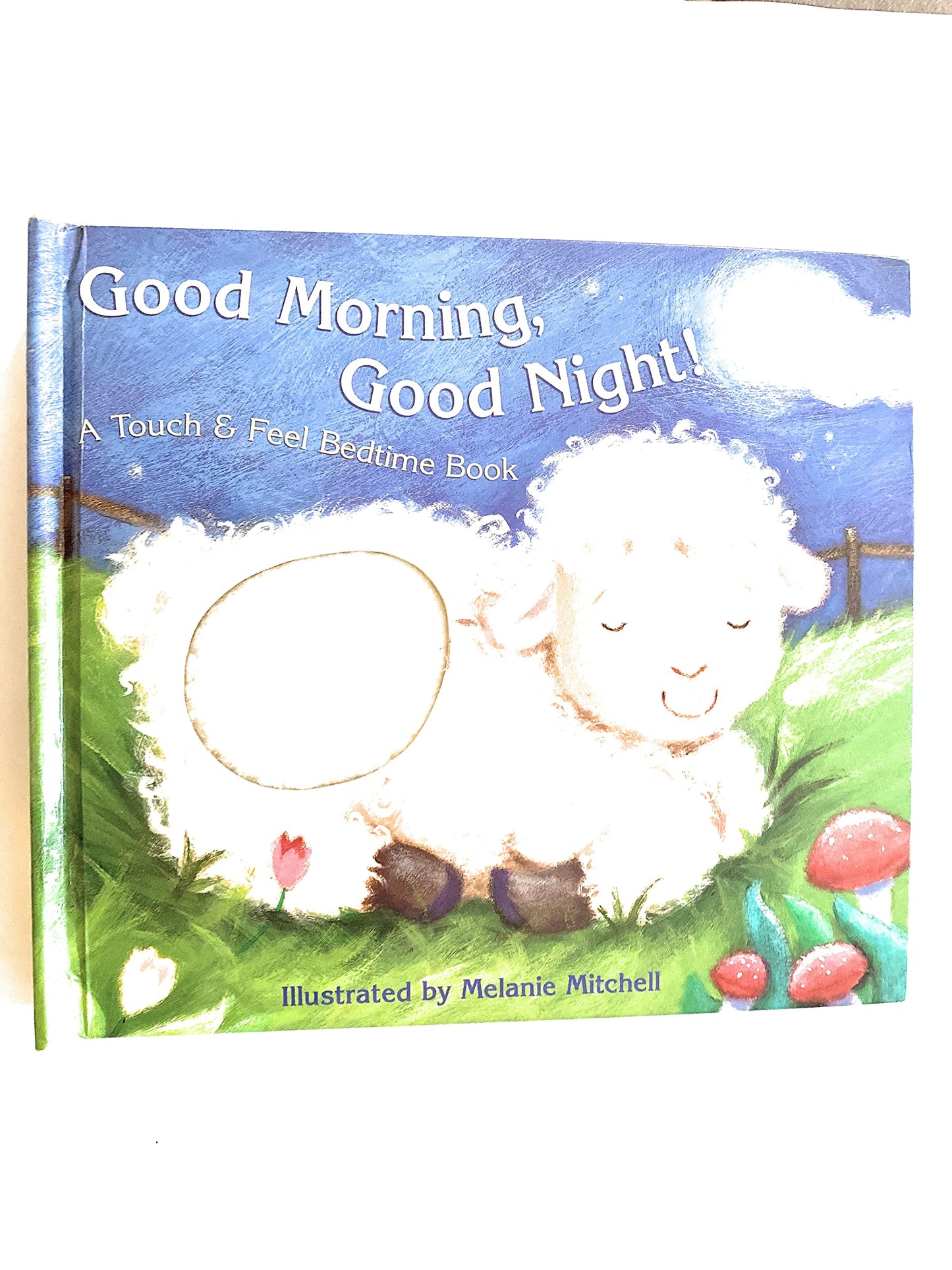 Good Morning, Good Night! (Touch & Feel)