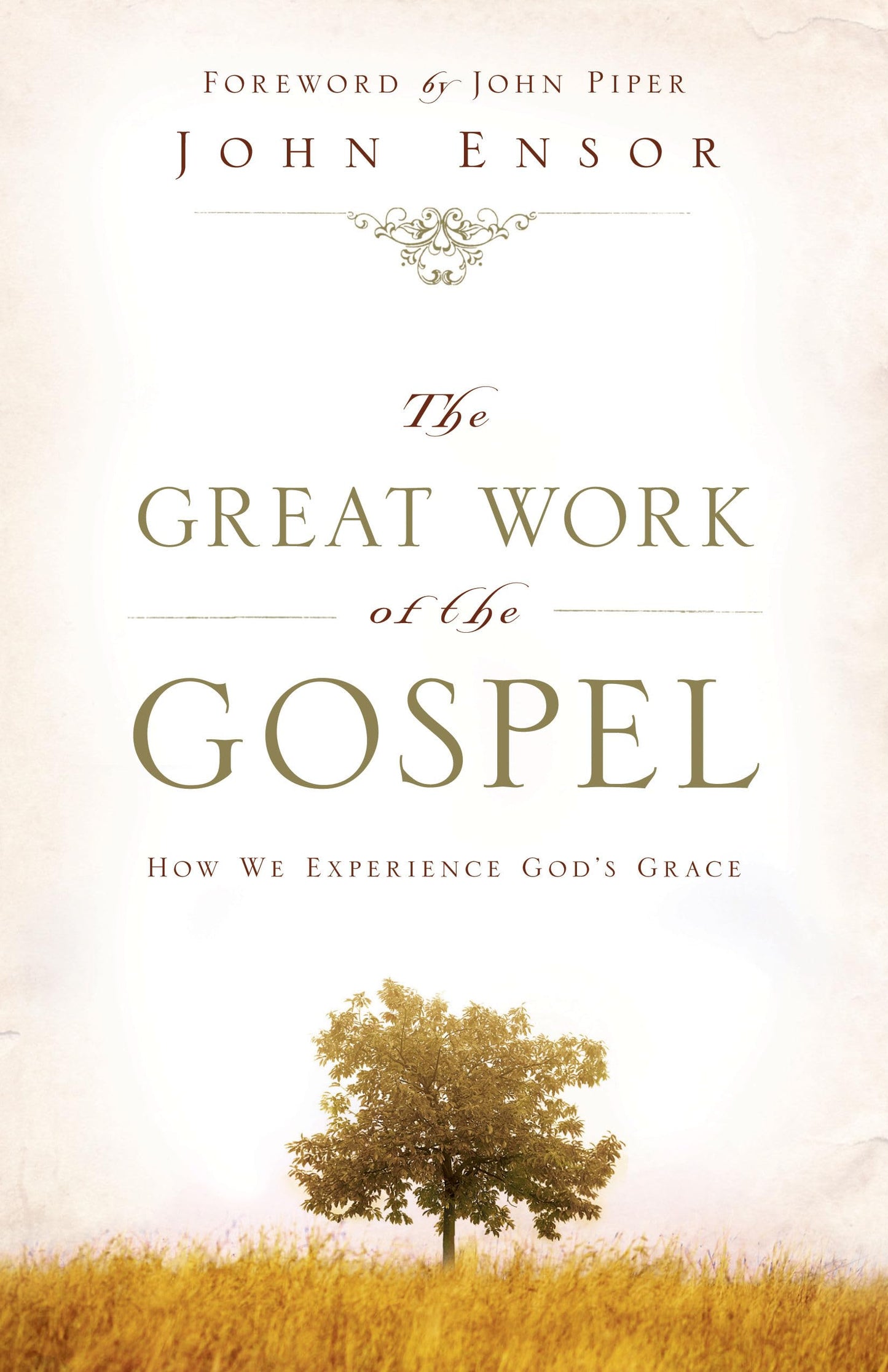 The Great Work of the Gospel: How We Experience God's Grace