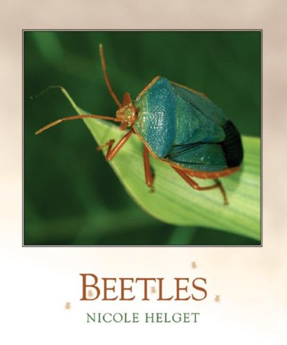 Beetles (Bugbooks)