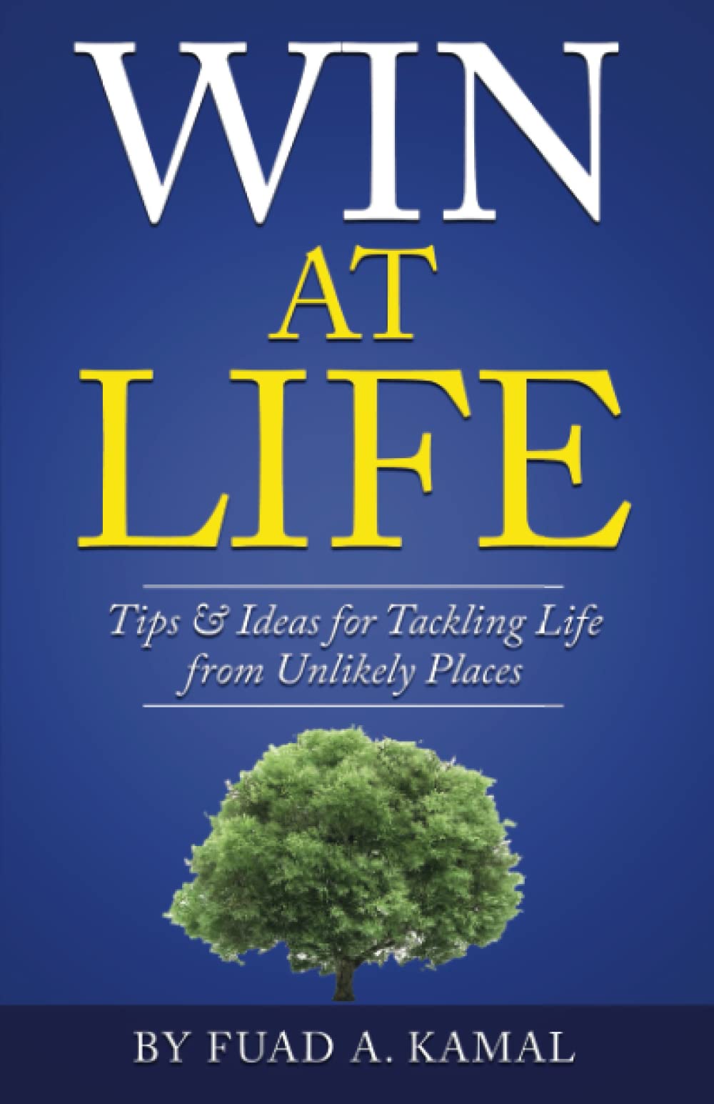 Win At Life: Tips & Ideas for Tackling Life from Unlikely Places