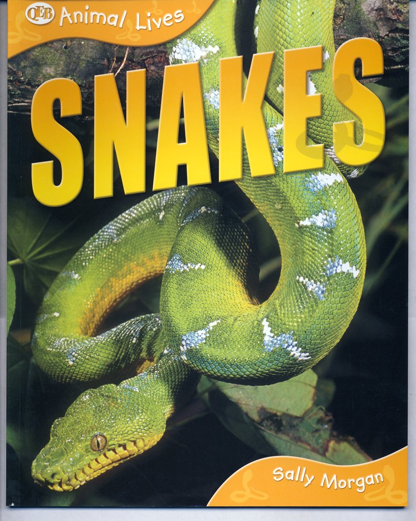 Snakes (Animal Lives Set)