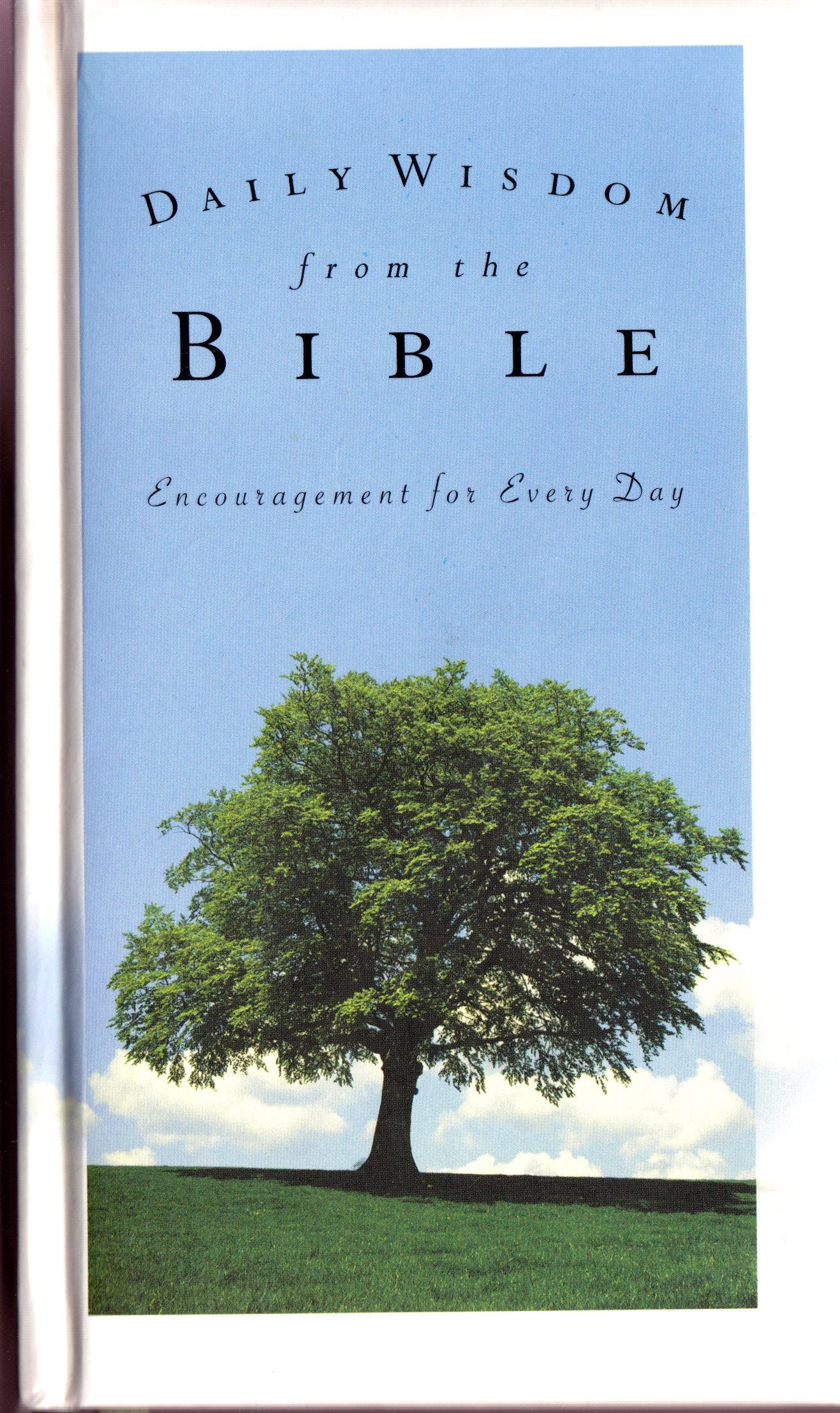 Daily Wisdom from the Bible: Encouragement for Every Day