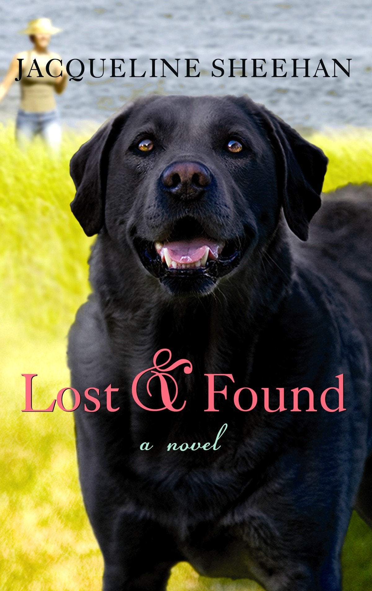 Lost & Found