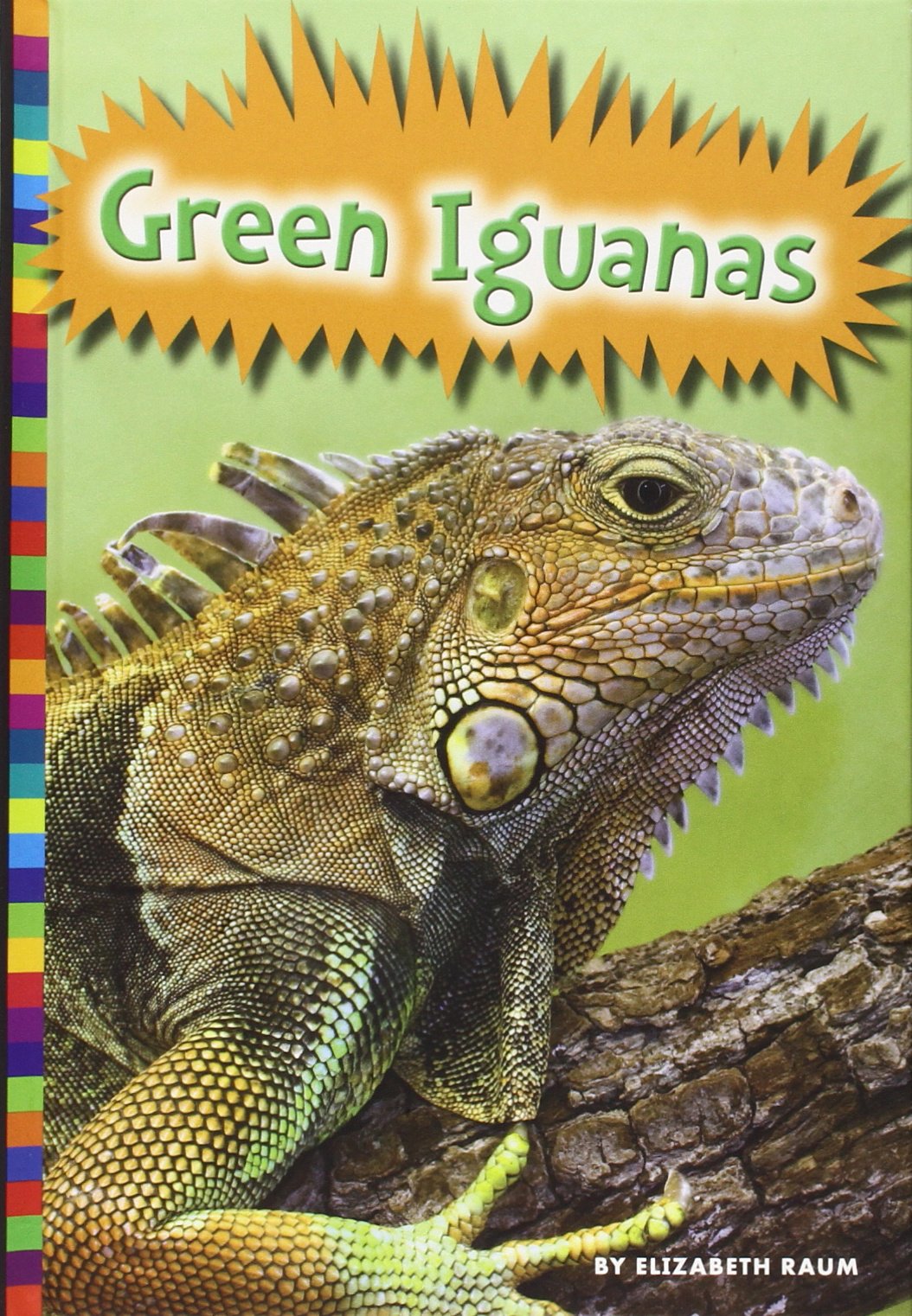 Green Iguanas (Lizards)