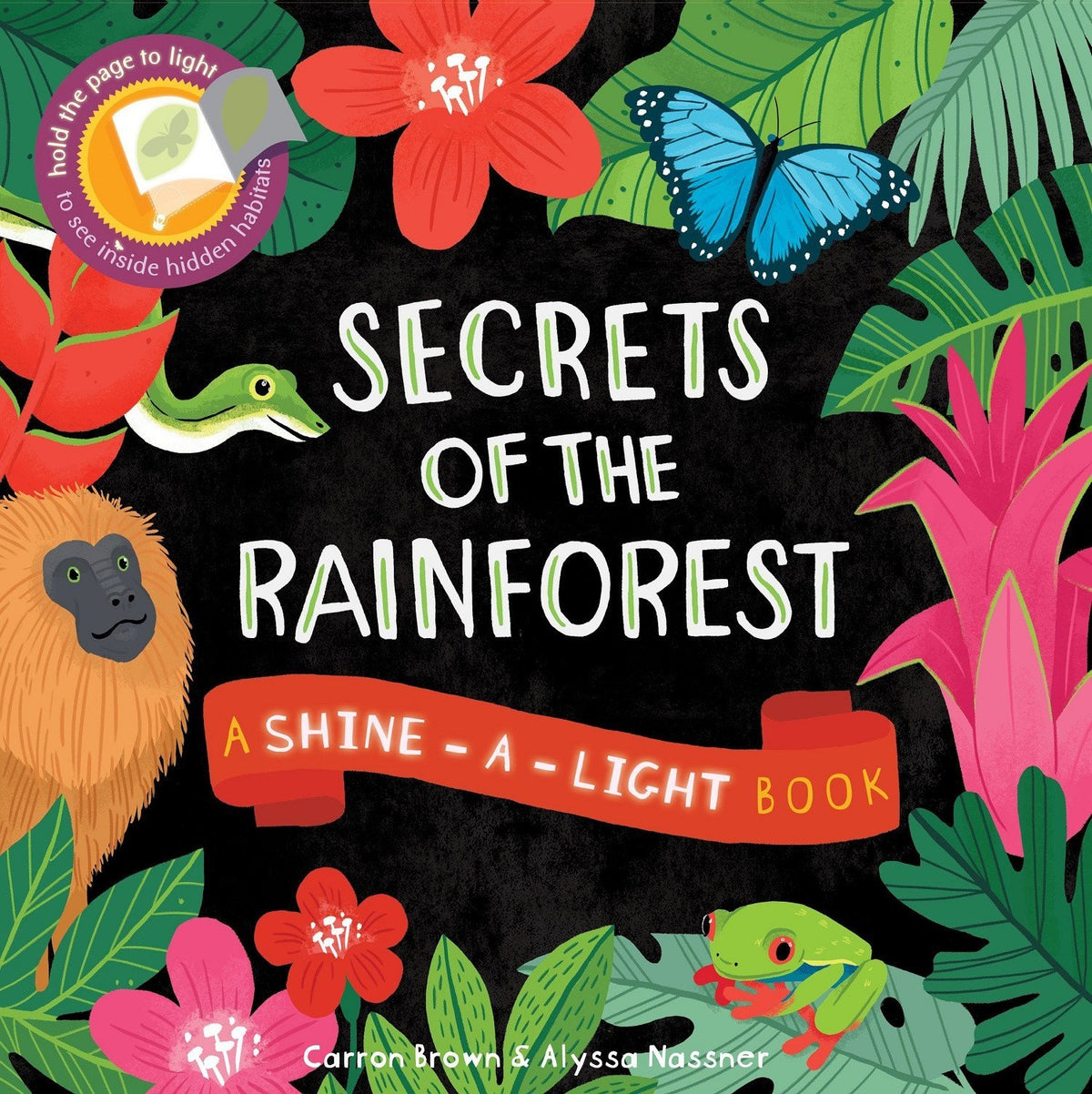 Secrets of the Rain Forest: A Shine-a-Light Book