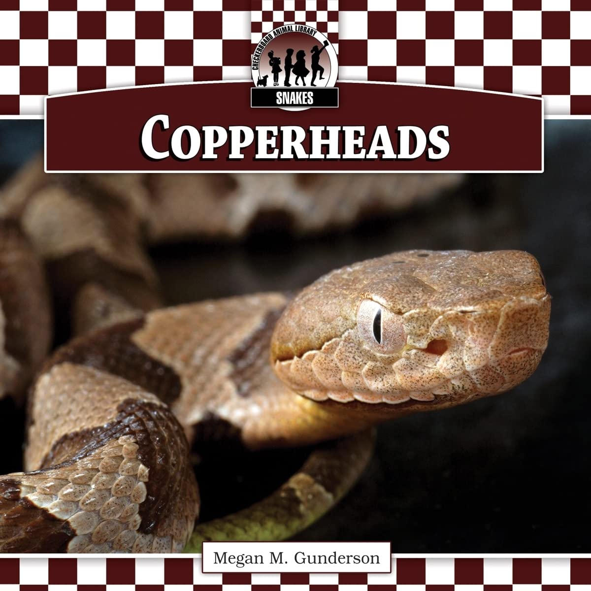 Copperheads (Snakes)