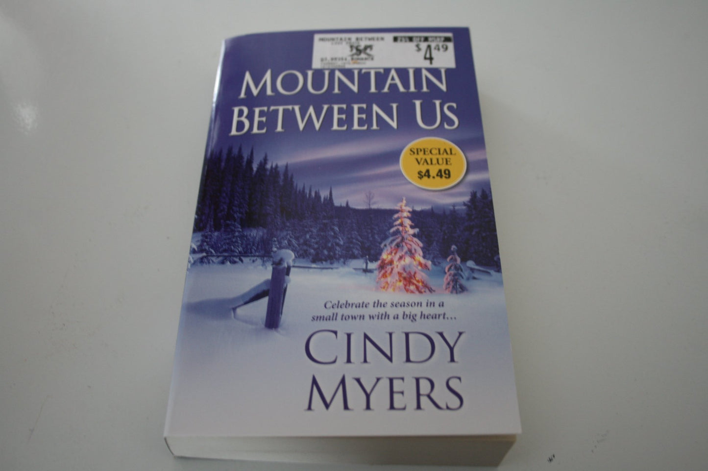 The Mountain Between Us