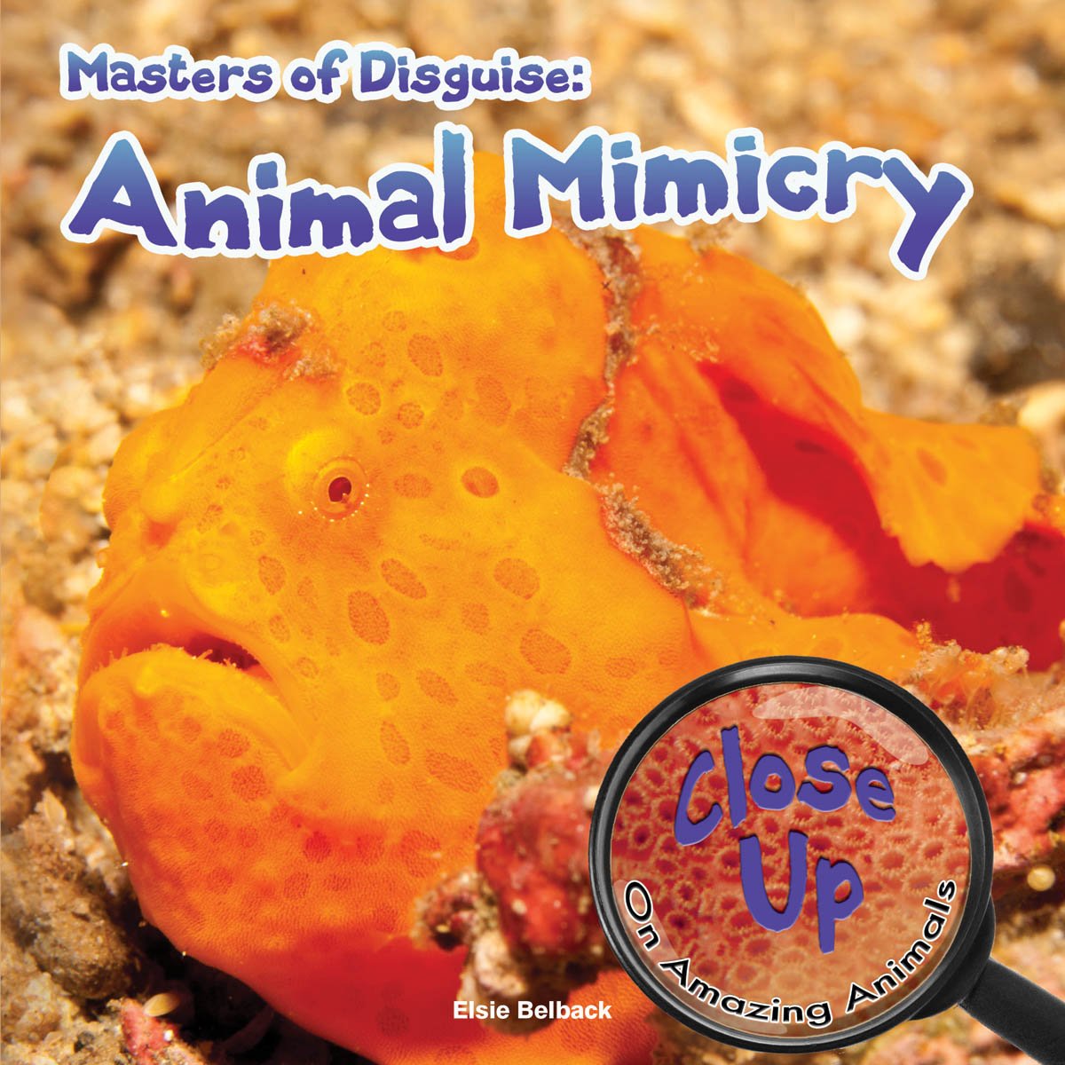 Masters of Disguise (Close-Up on Amazing Animals)