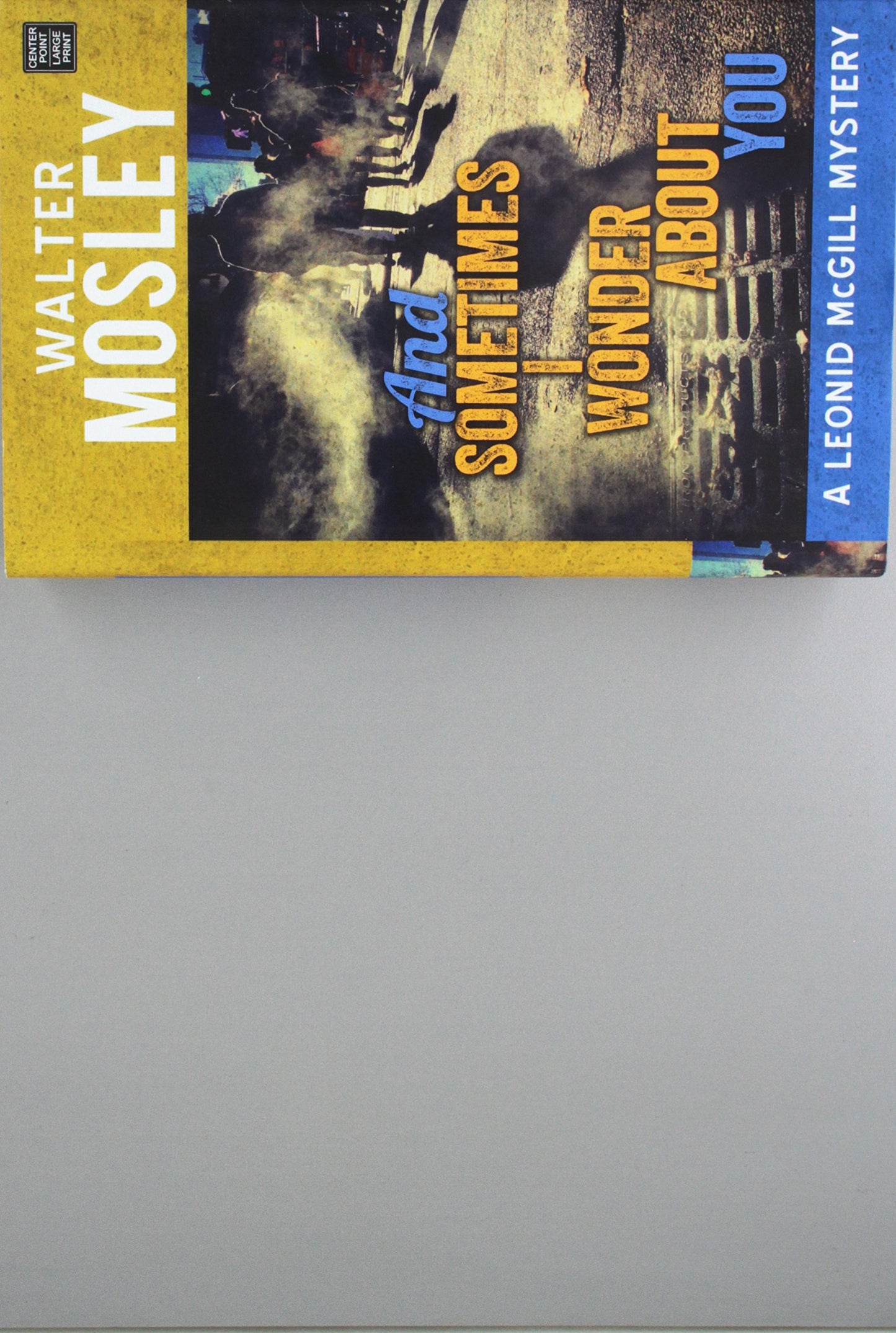 And Sometimes I Wonder About You (Leonid McGill Mystery)