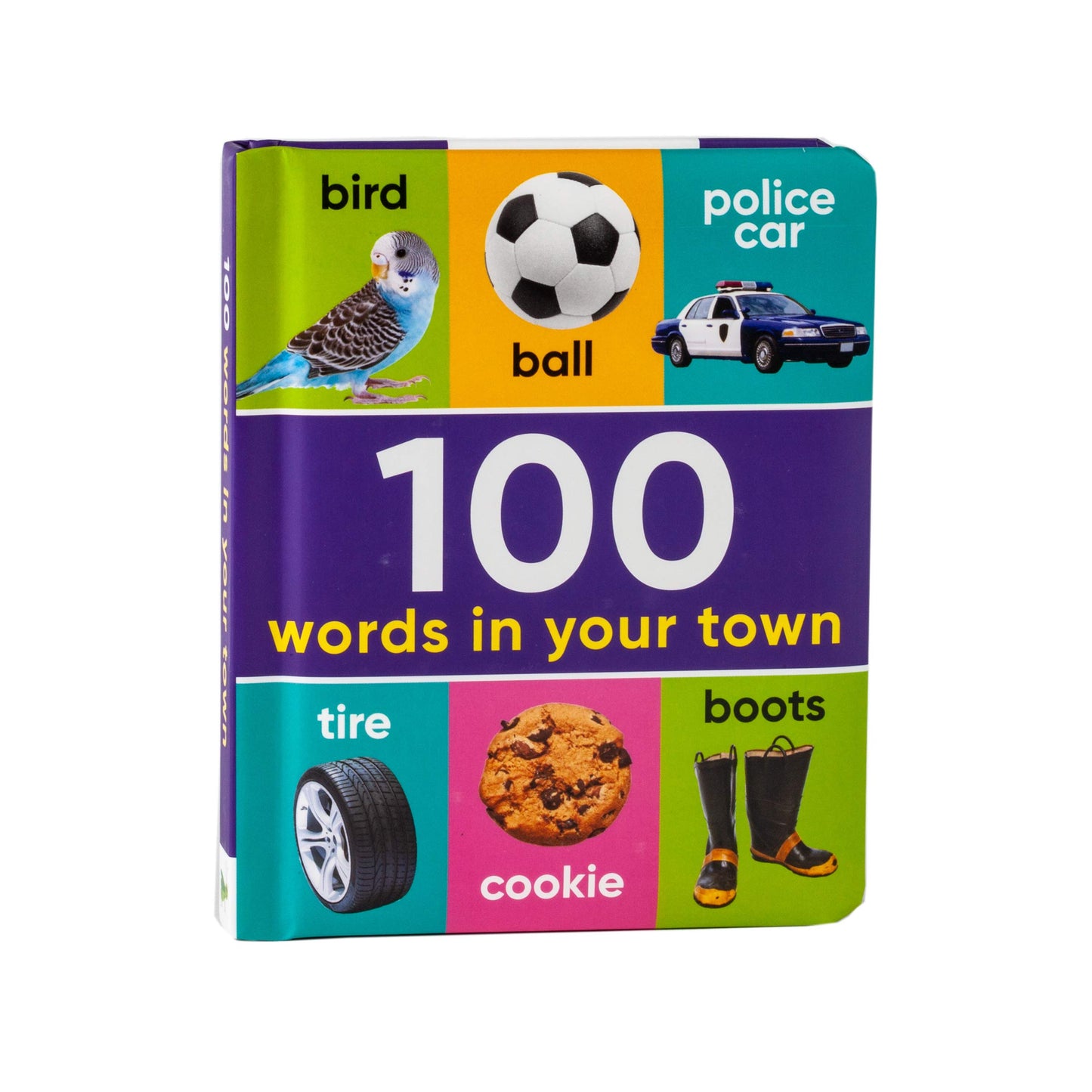 100 Words in Your Town (Early Learning)
