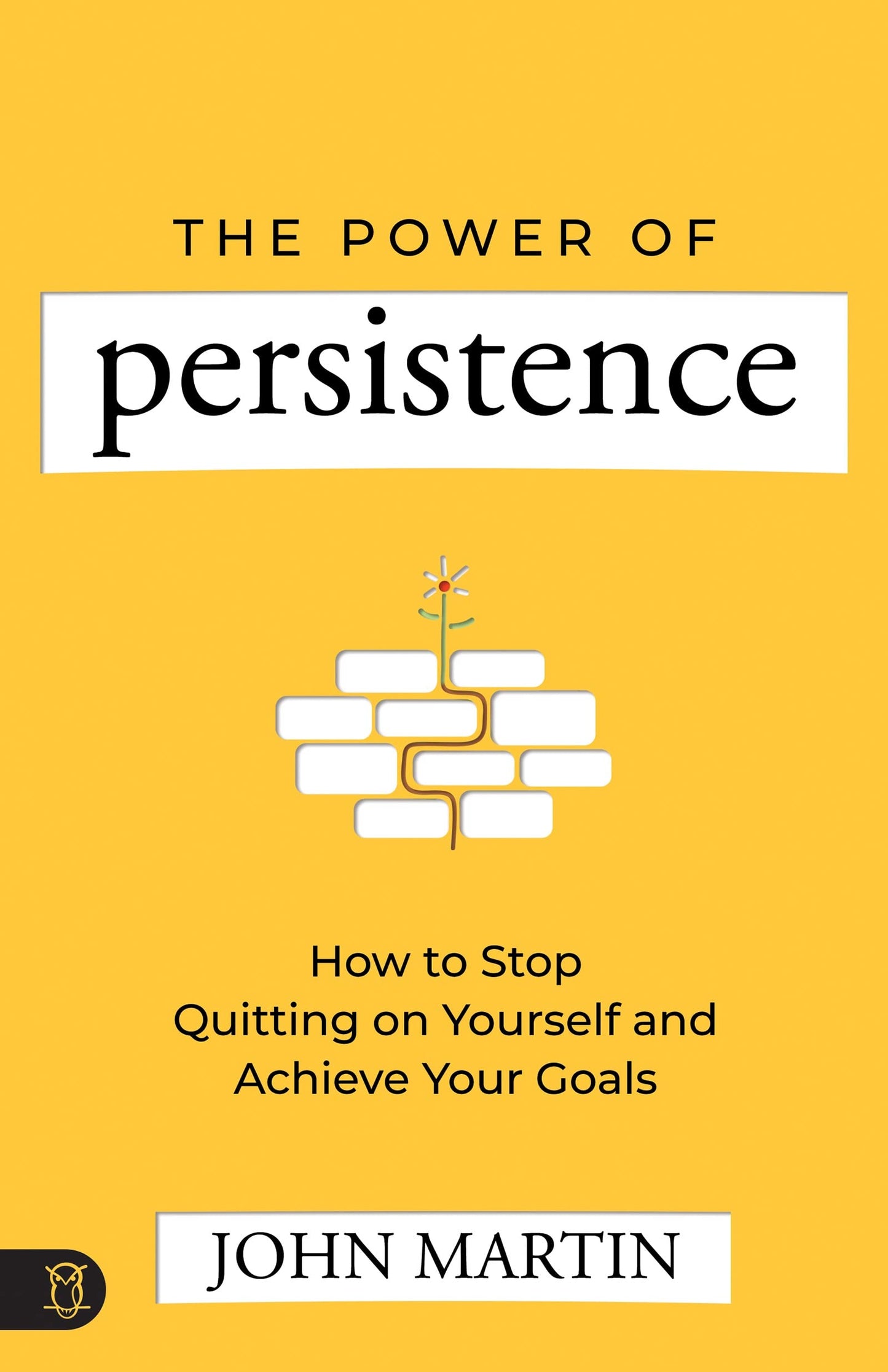 The Power of Persistence: How to Stop Quitting on Yourself and Achieve Your Goals - 2700