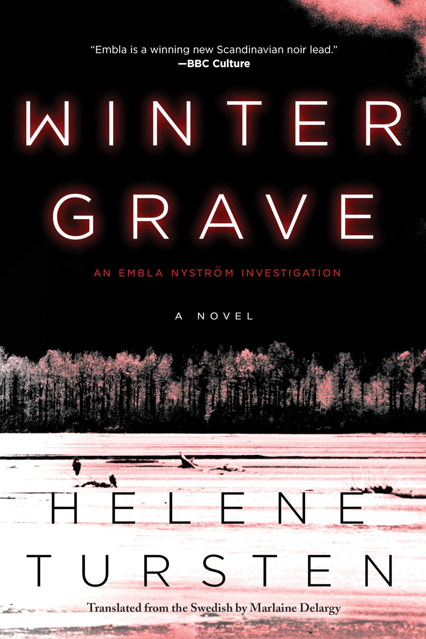 Winter Grave (An Embla Nyström Investigation)