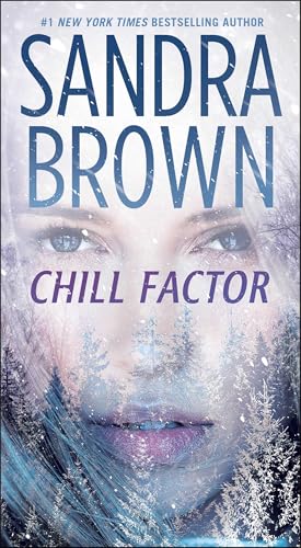 Chill Factor: A Novel