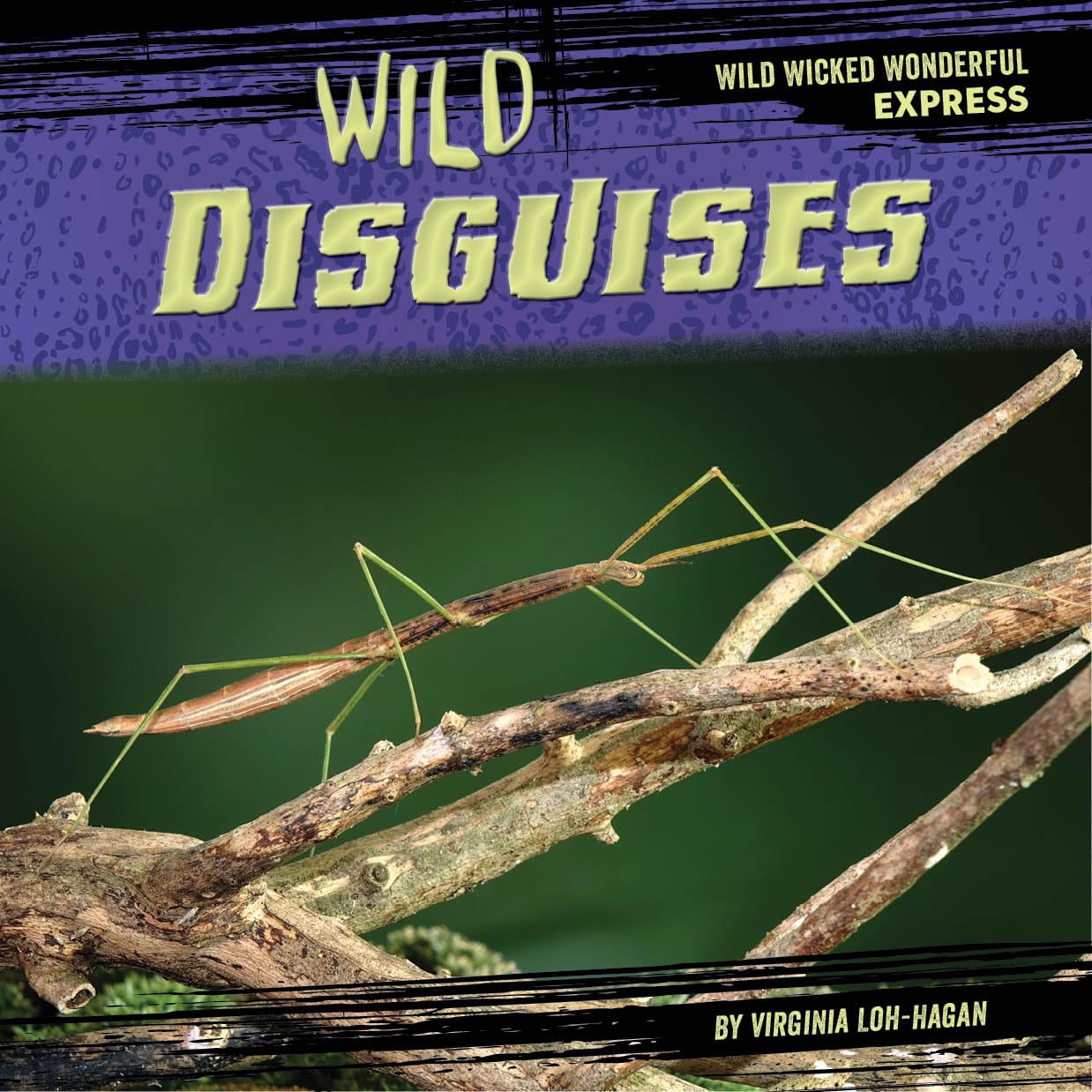 Wild Disguises (Wild Wicked Wonderful Express)