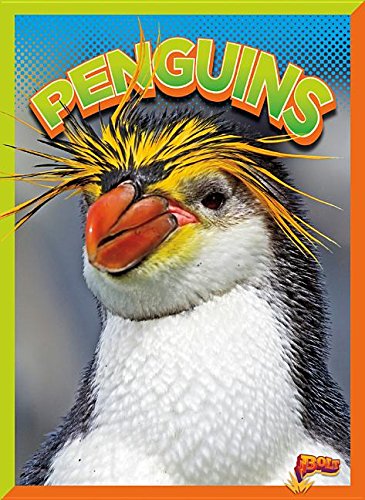 Penguins (Wild Animal Kingdom)