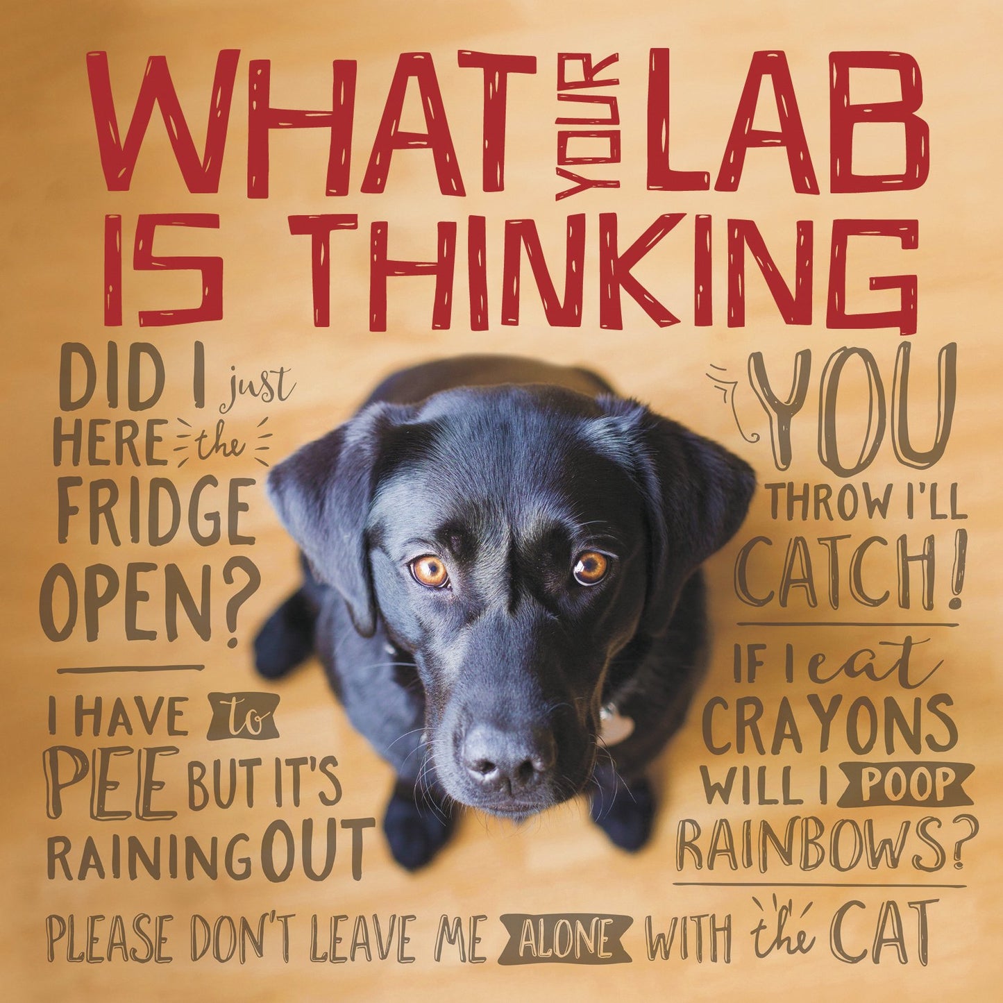 What Your Lab is Thinking