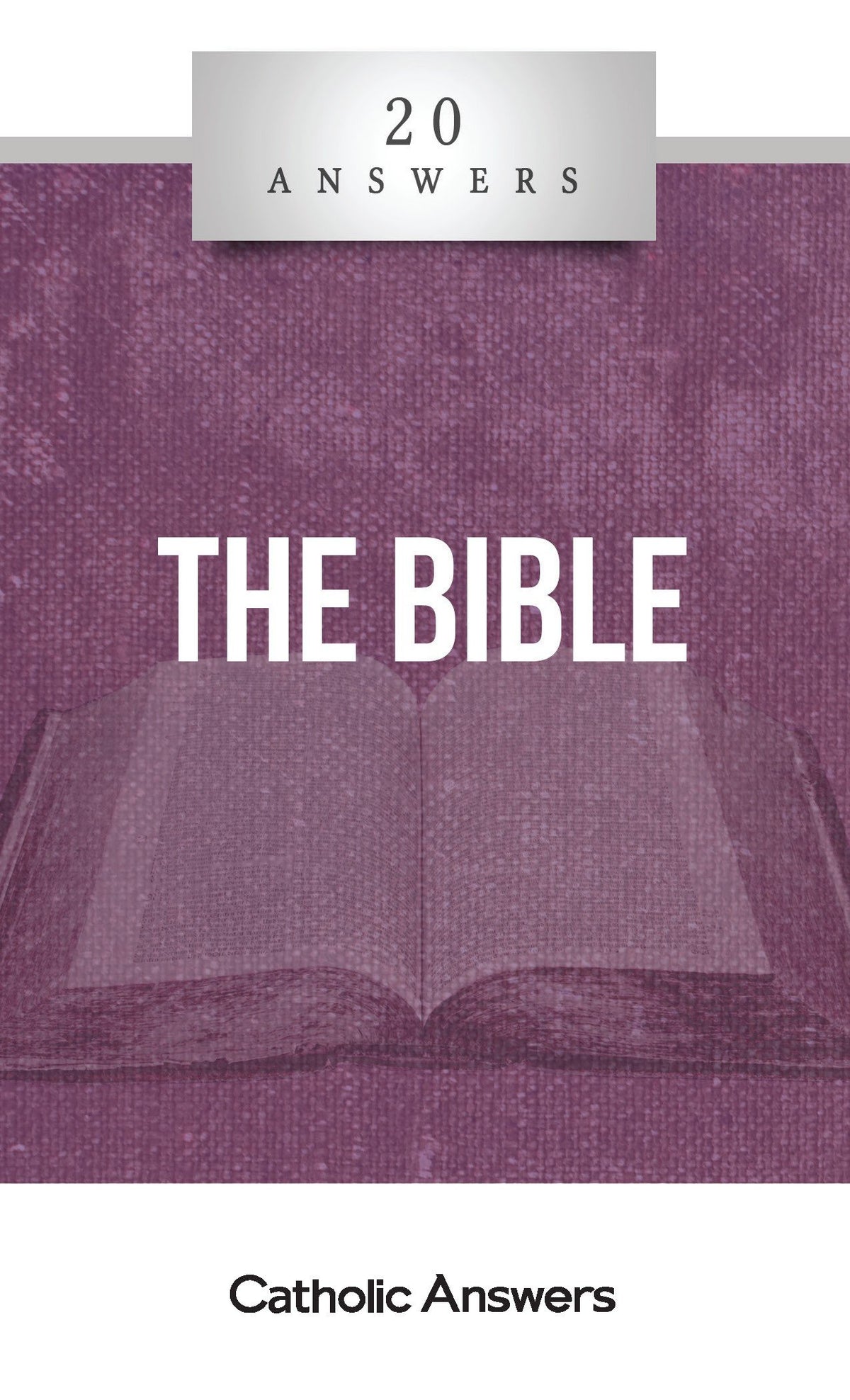 20 Answers The Bible