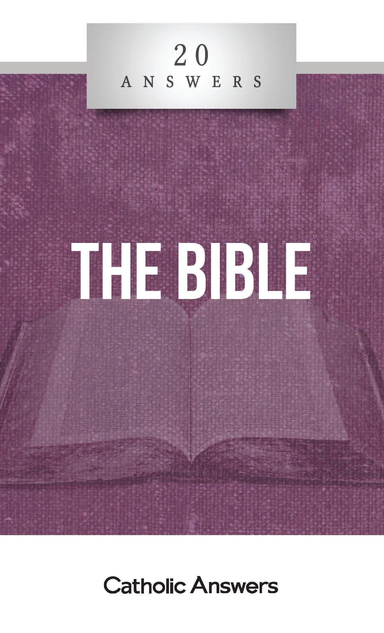 20 Answers The Bible