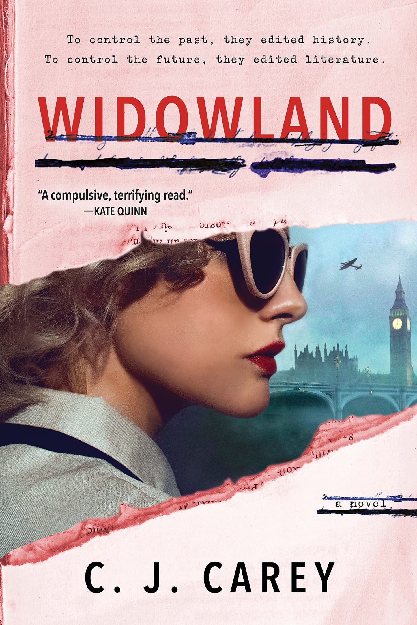 Widowland: A Novel