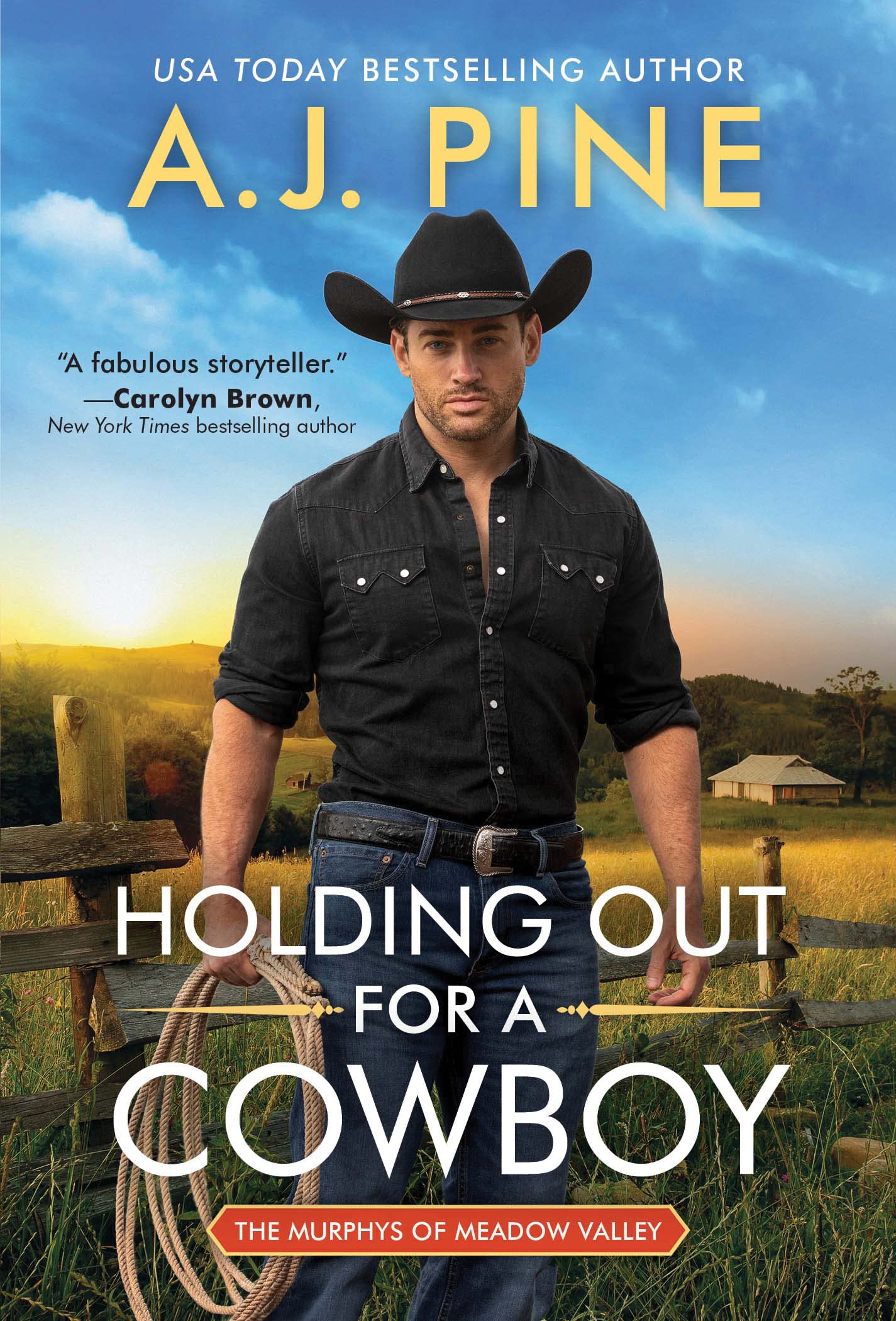 Holding Out for a Cowboy (The Murphys of Meadow Valley, 1)