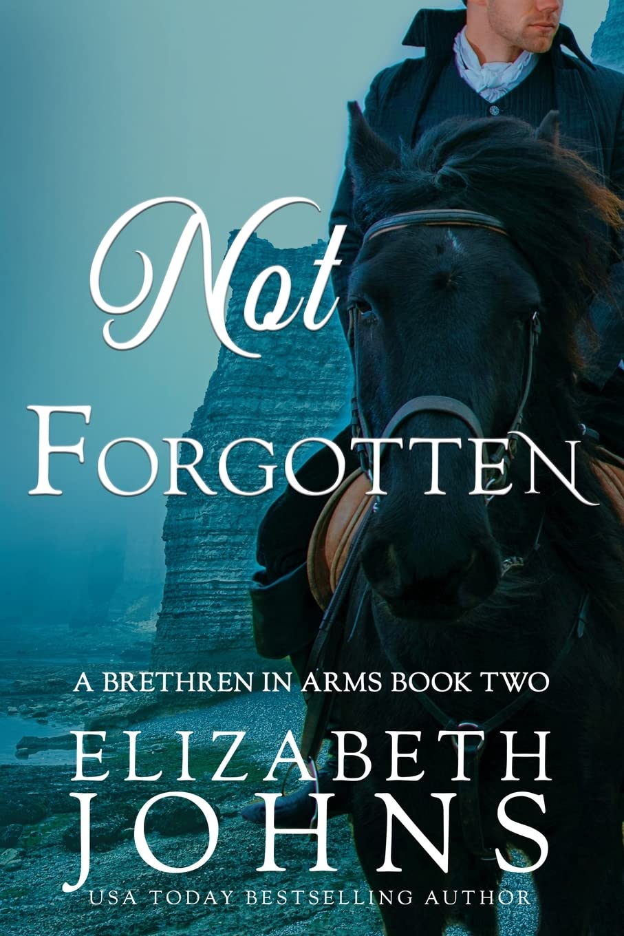 Not Forgotten (Brethren in Arms)