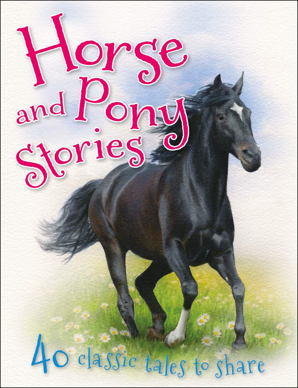 Horse and Pony Stories