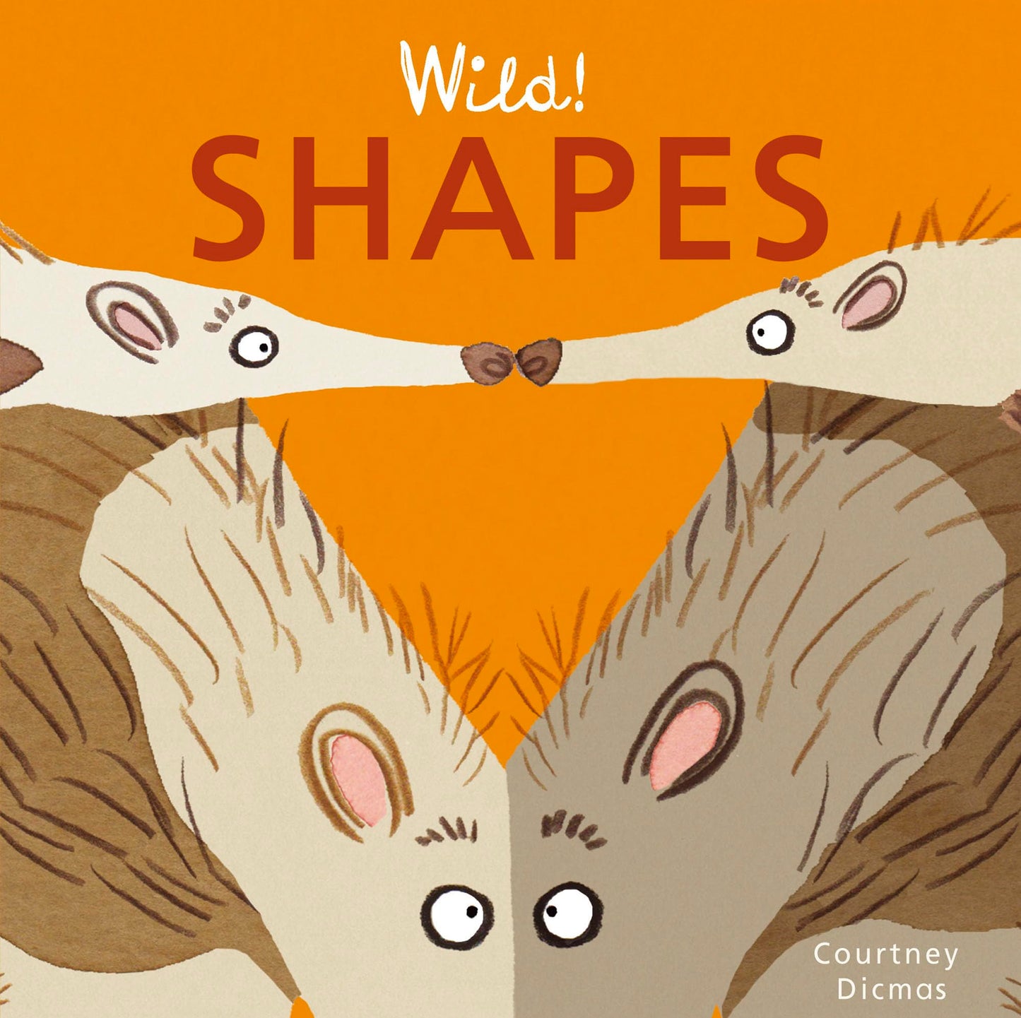 Wild! Shapes (Wild! Concepts)