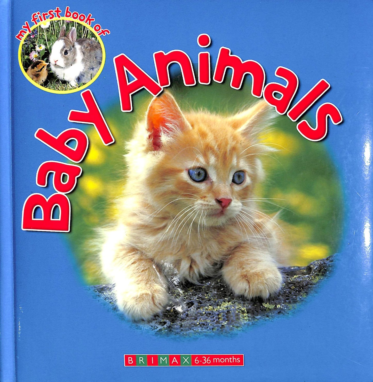 My First Book of Baby Animals