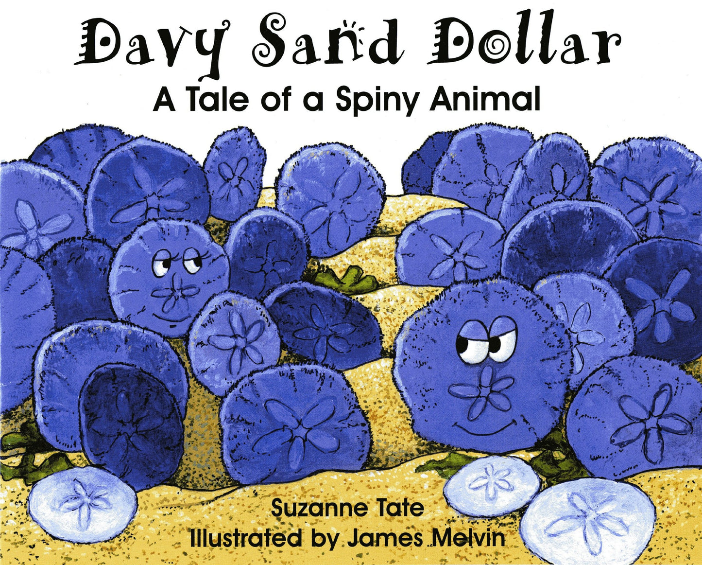 Davy Sand Dollar, A Tale of a Spiny Animal