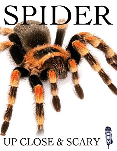 Spider (Up Close & Scary)