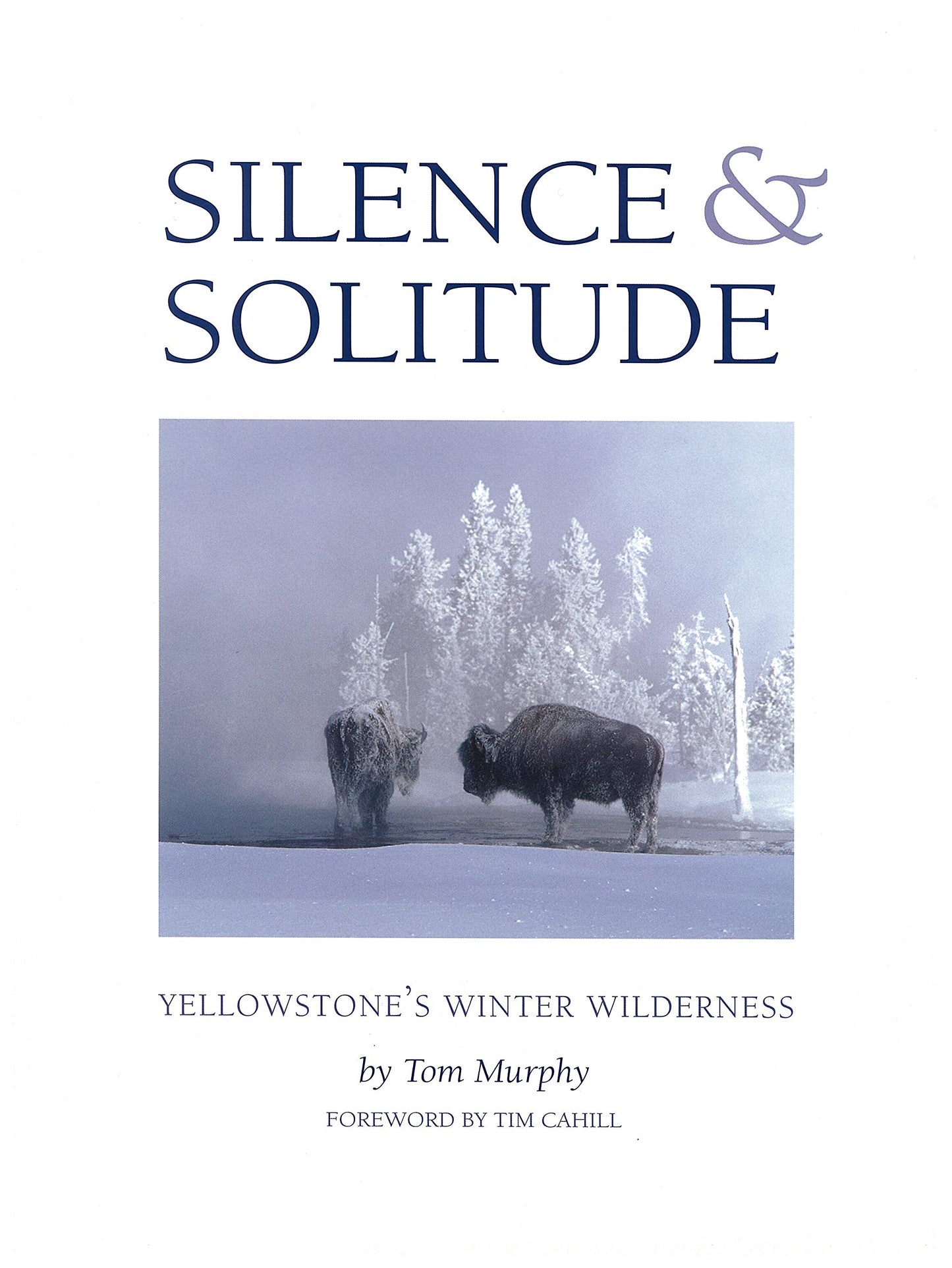 Silence & Solitude: Yellowstone's Winter Wilderness