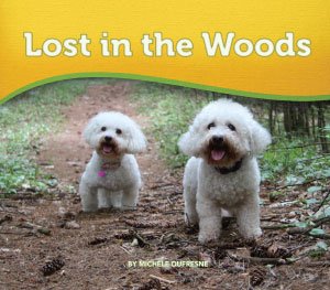 Lost in the Woods