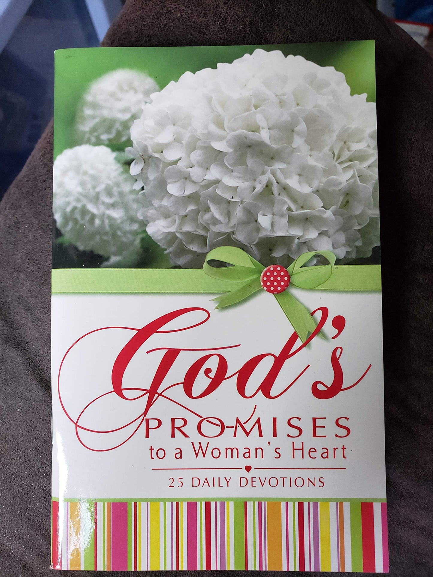 God's Promises to a Woman's Heart 25 Daily Devotions