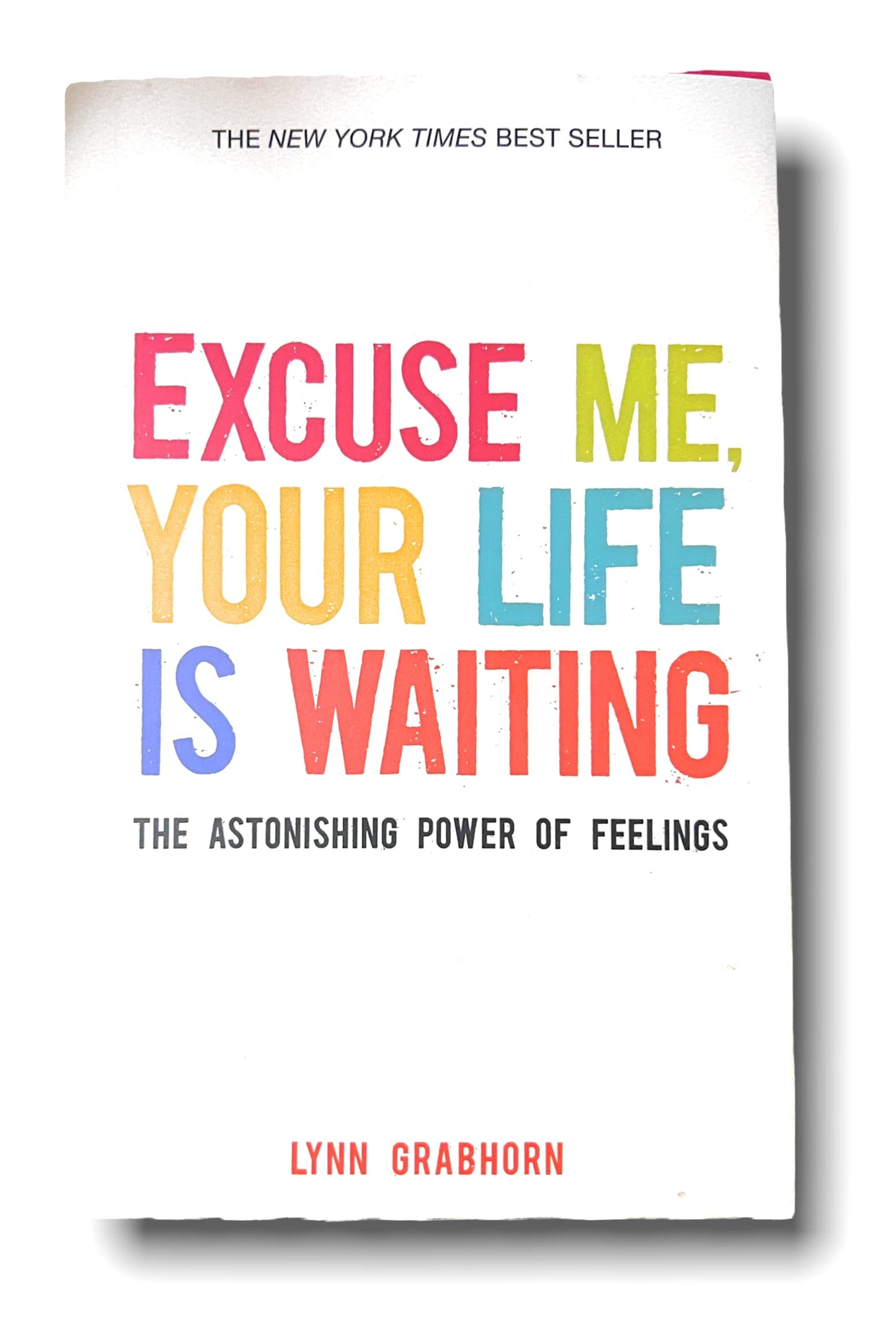 Excuse Me, Your Life Is Waiting: The Astonishing Power of Feelings
