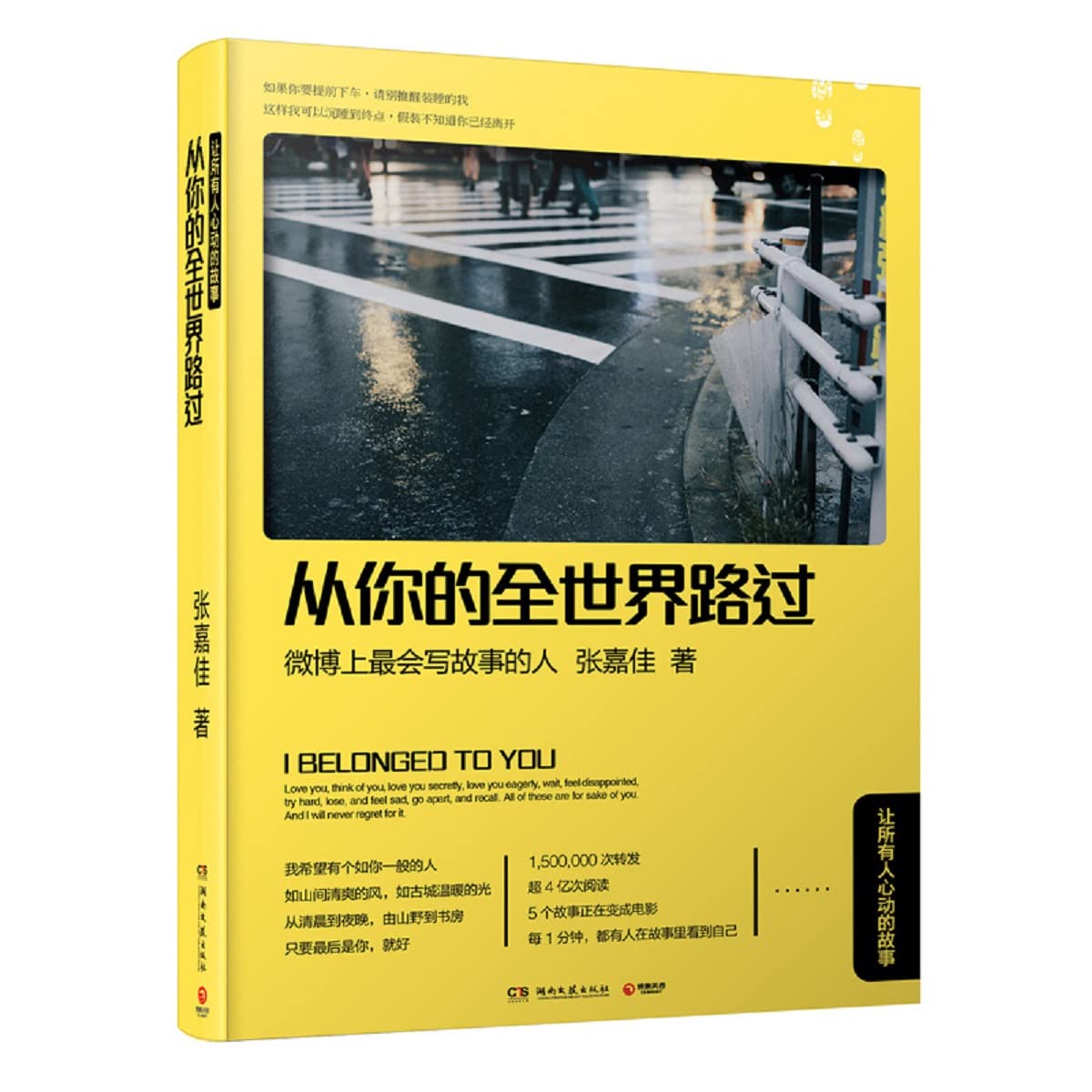 I Belonged to You (Chinese Edition)
