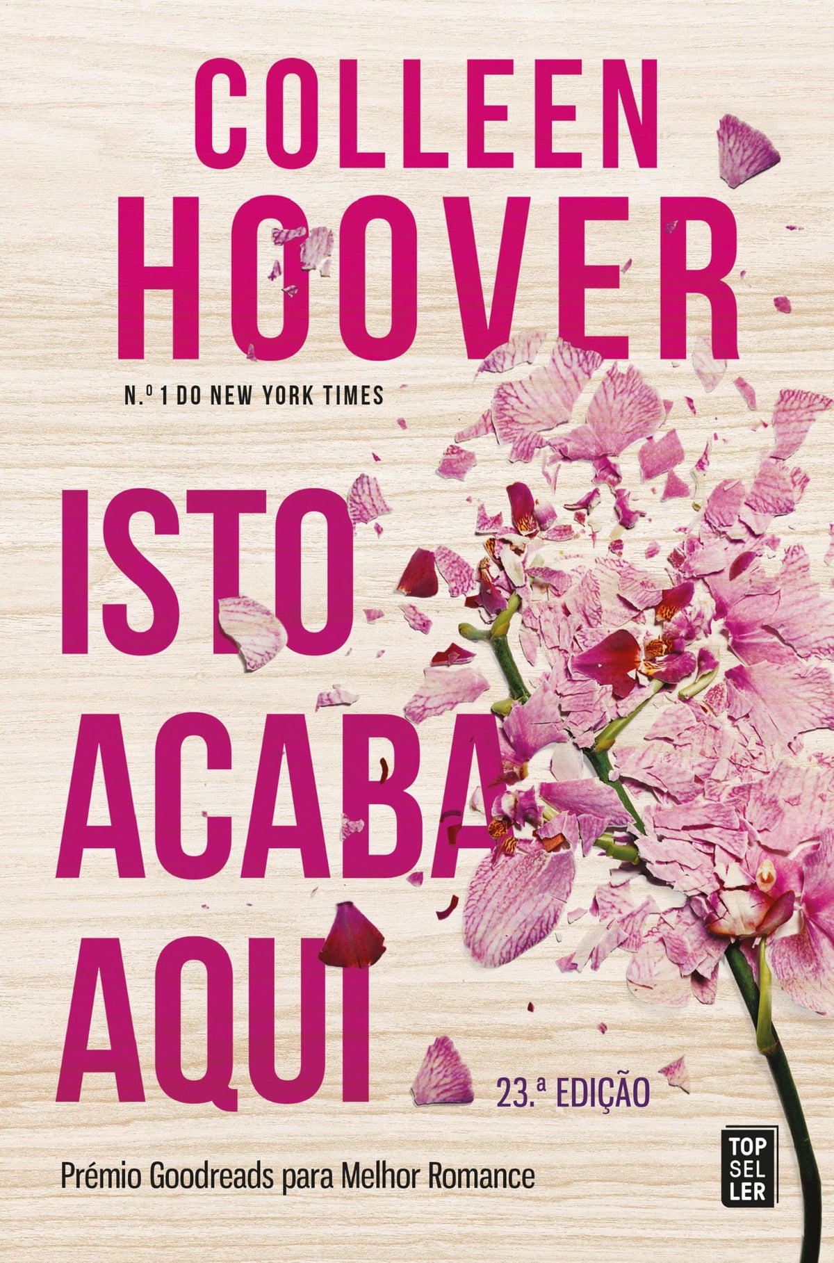 Isto Acaba Aqui (Portuguese Edition)