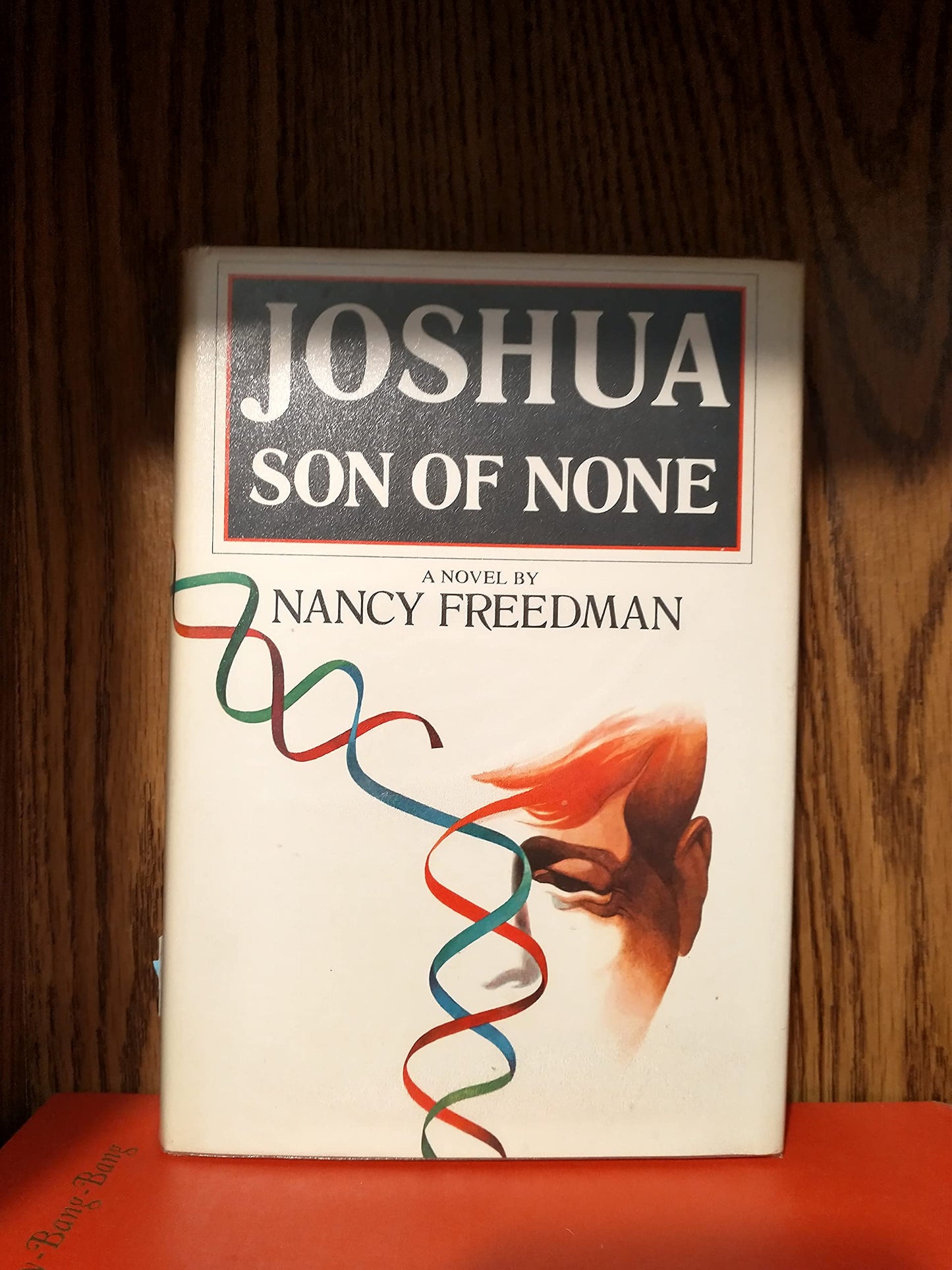Joshua, Son of None