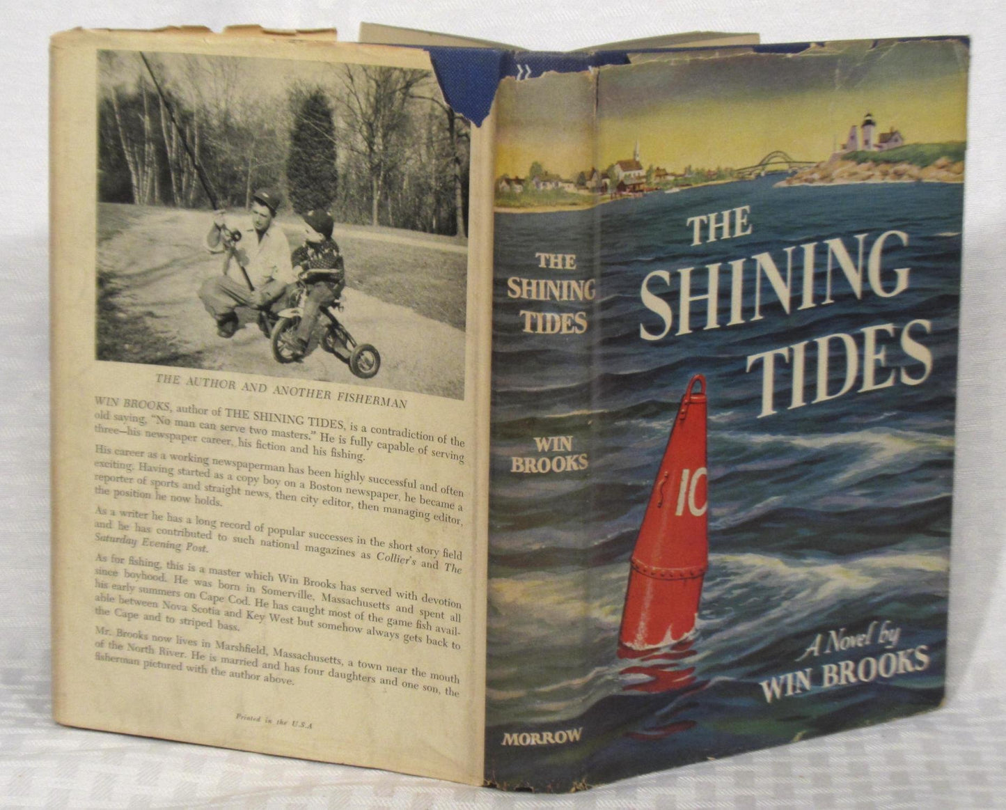 The shining tides, a novel