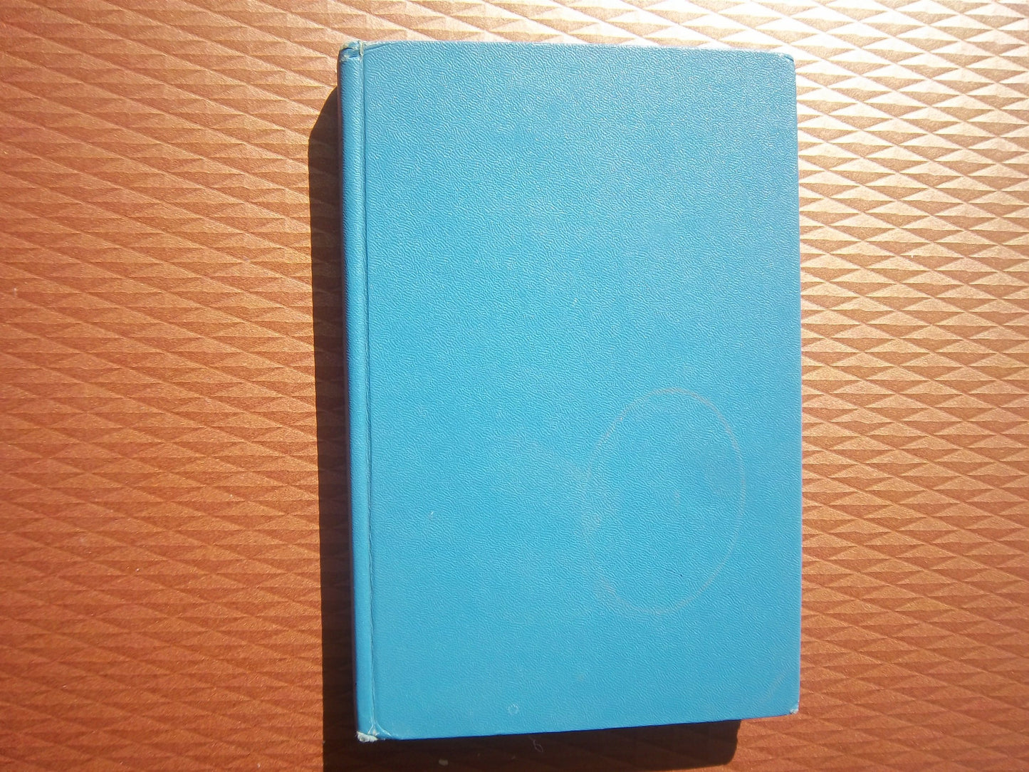 The Whistling Shadow: a novel of suspense