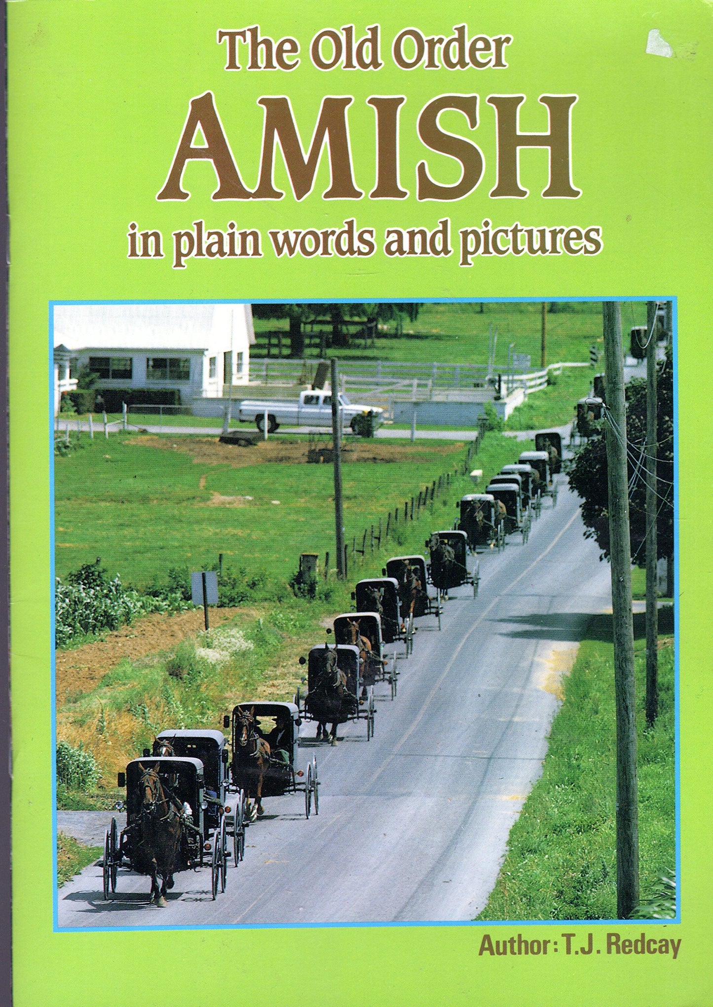 The Old Order Amish in Plain Words and Pictures
