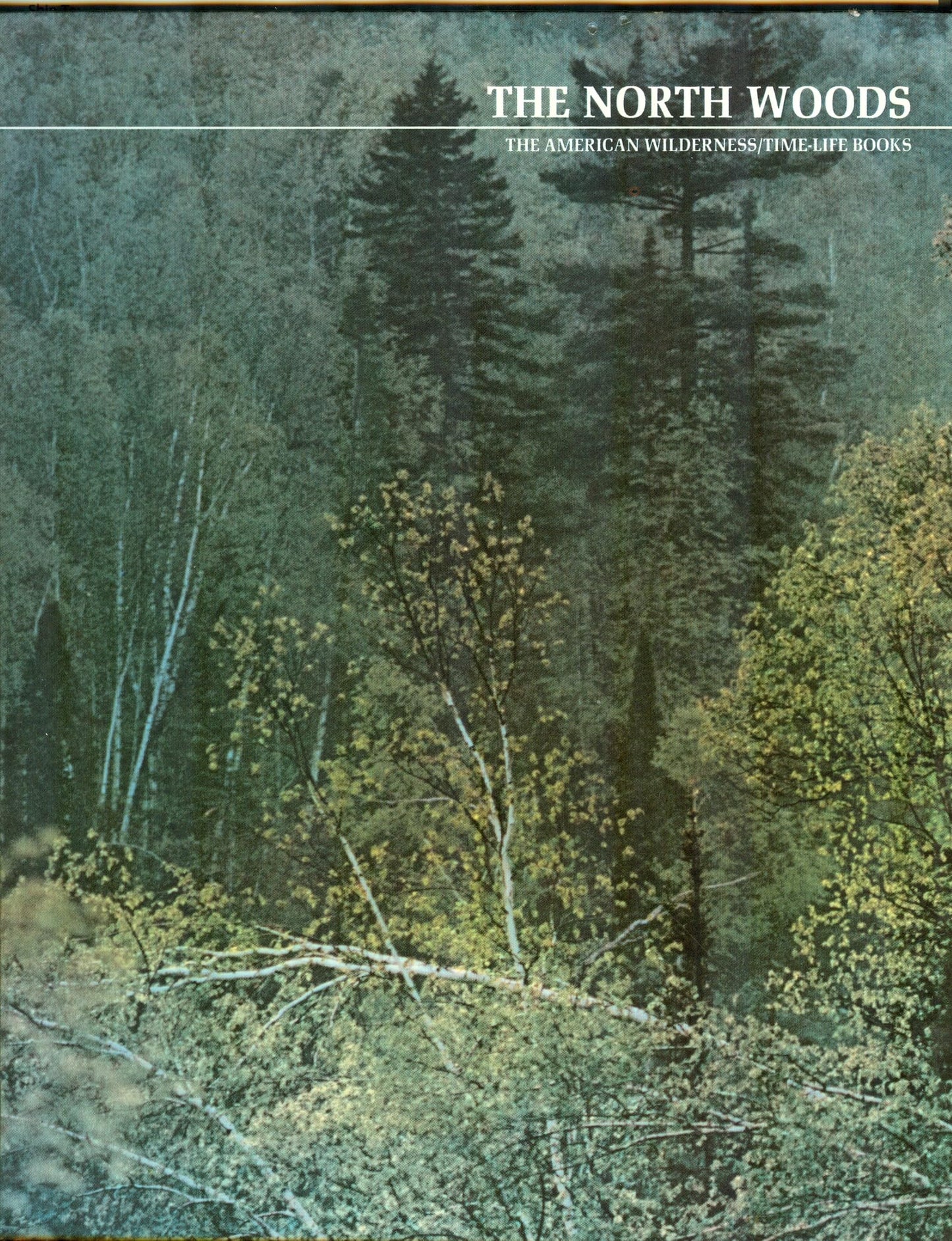 The north woods (The American wilderness) - 7707